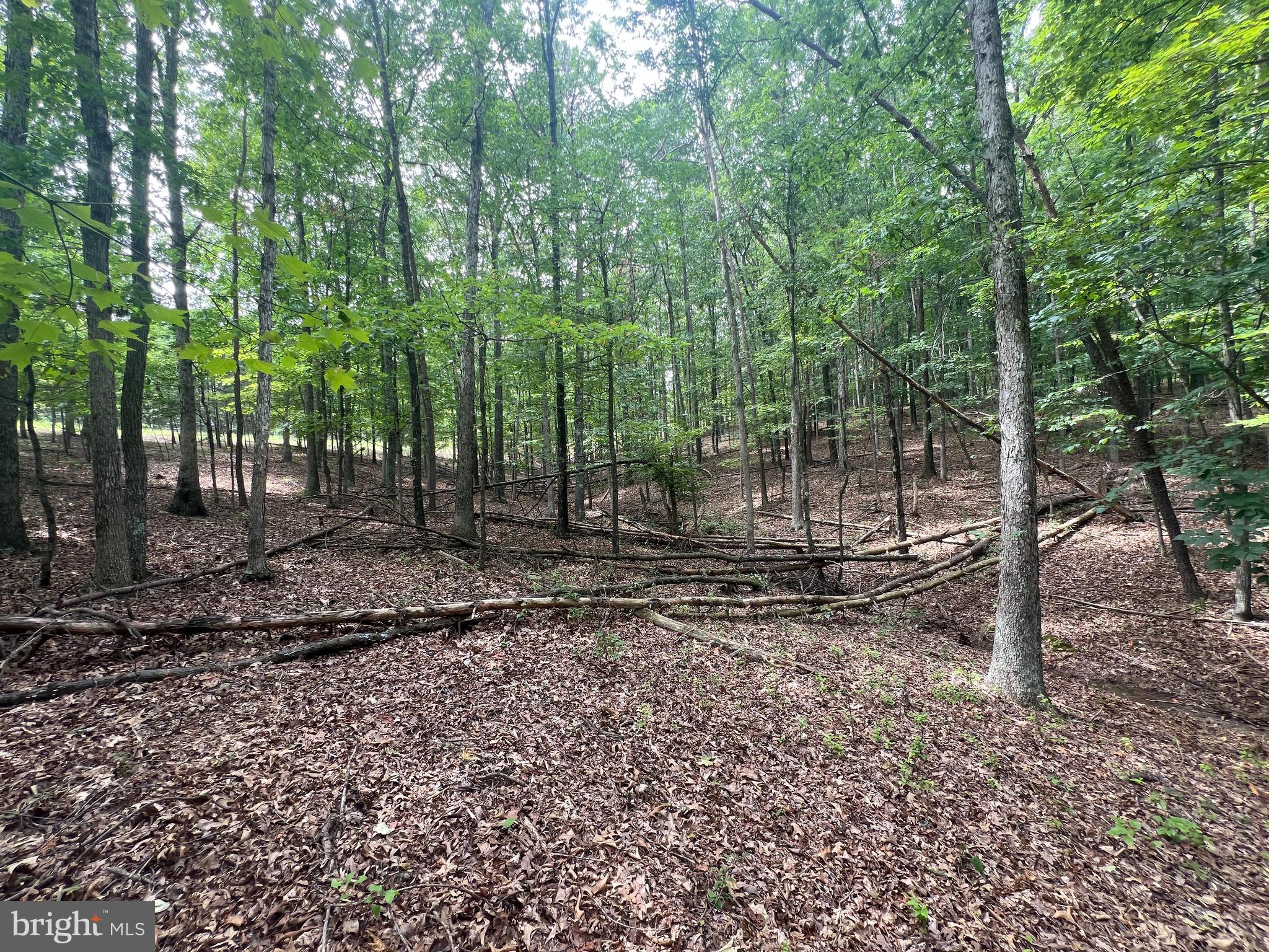 TWIN LAKES EAST - Land