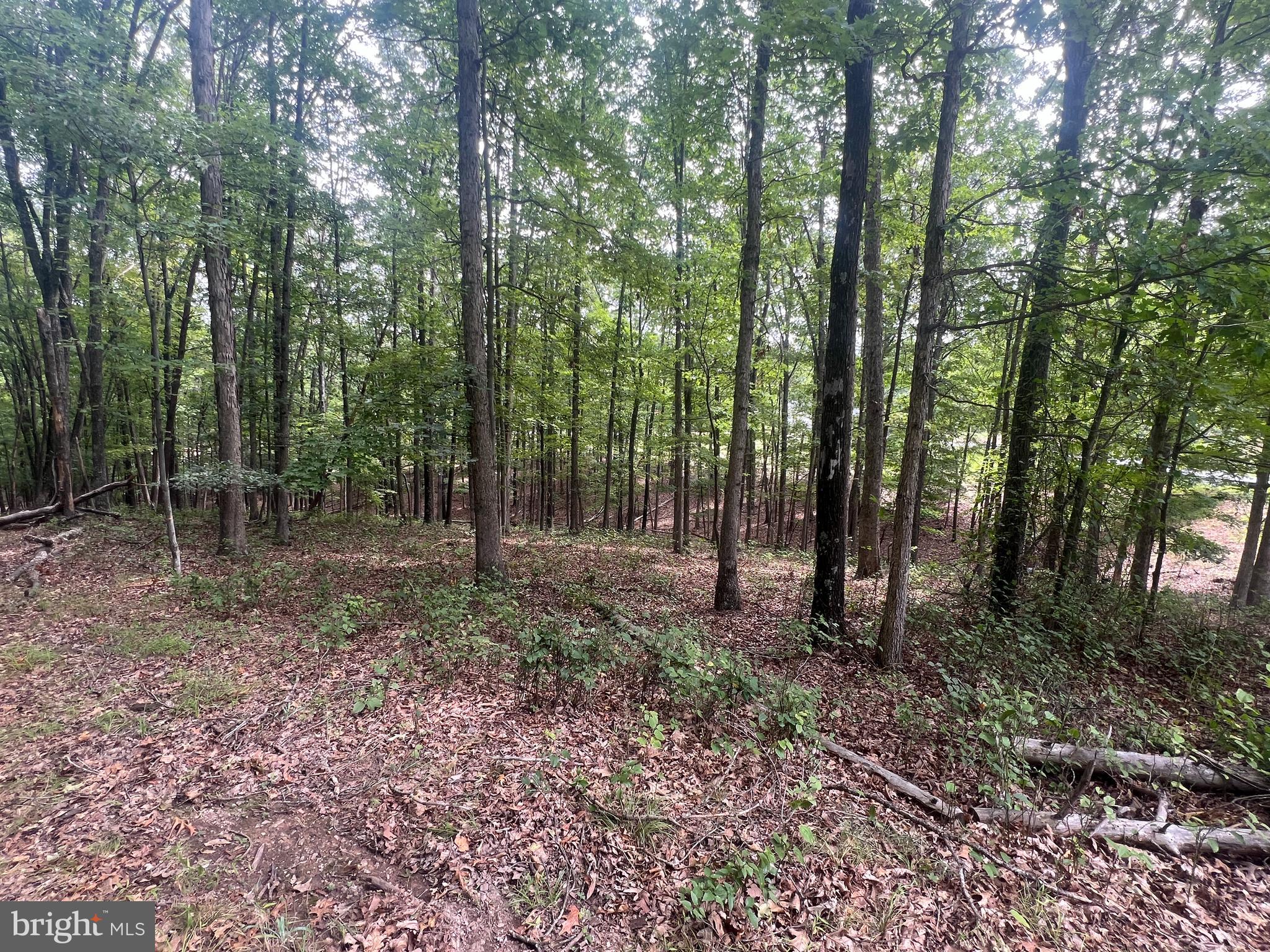 TWIN LAKES EAST - Land