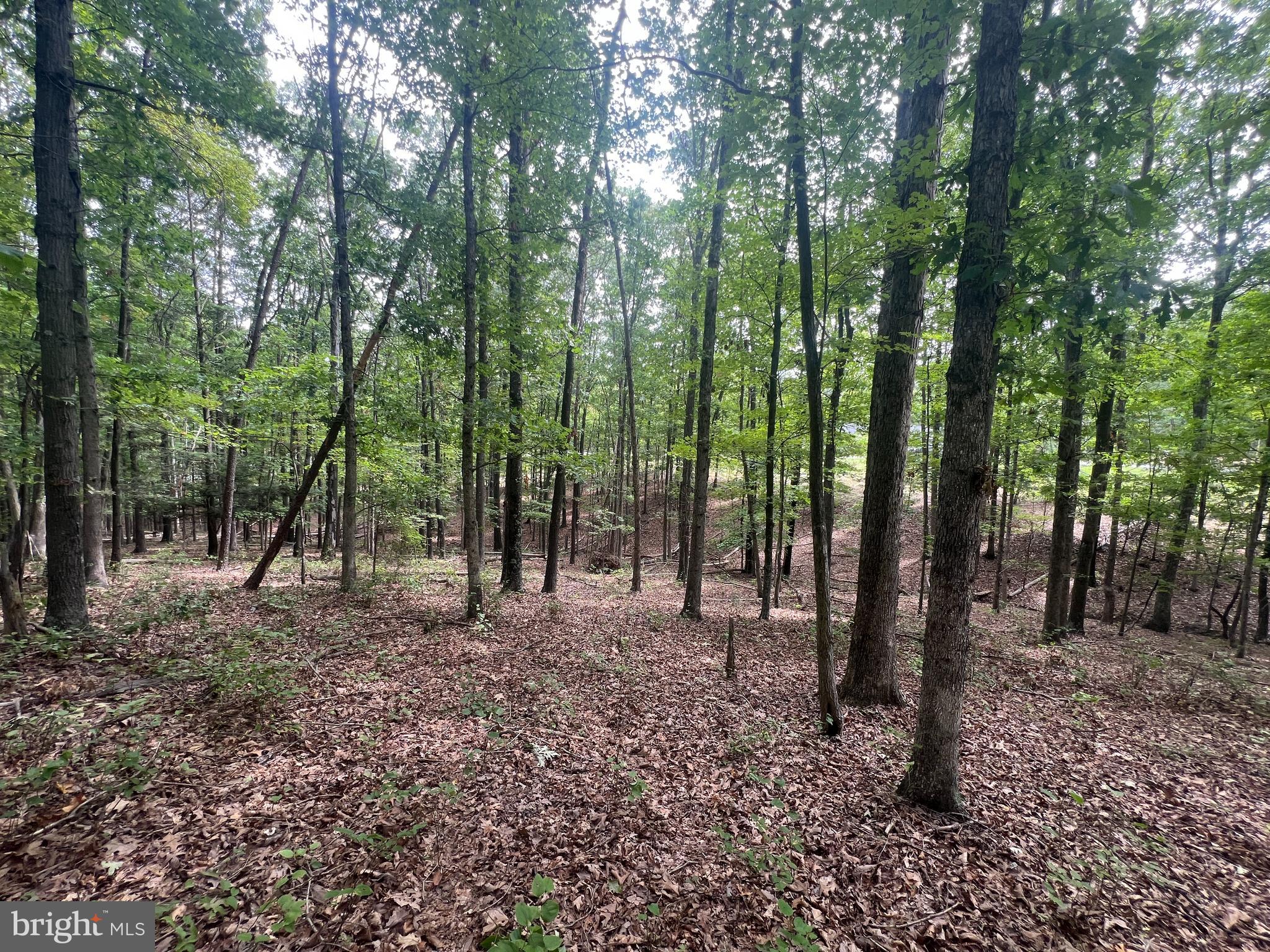 TWIN LAKES EAST - Land