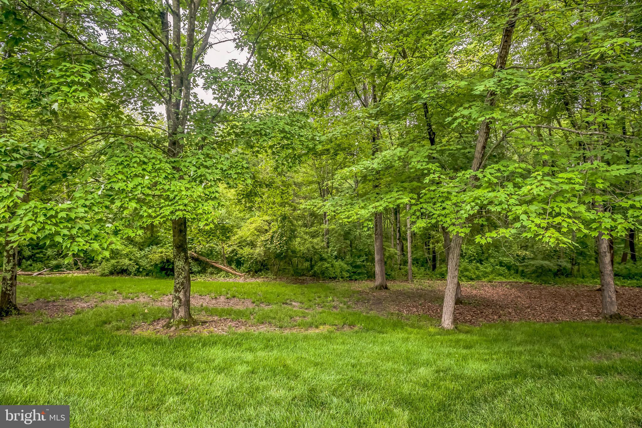 CHESTNUT CREEK - Residential