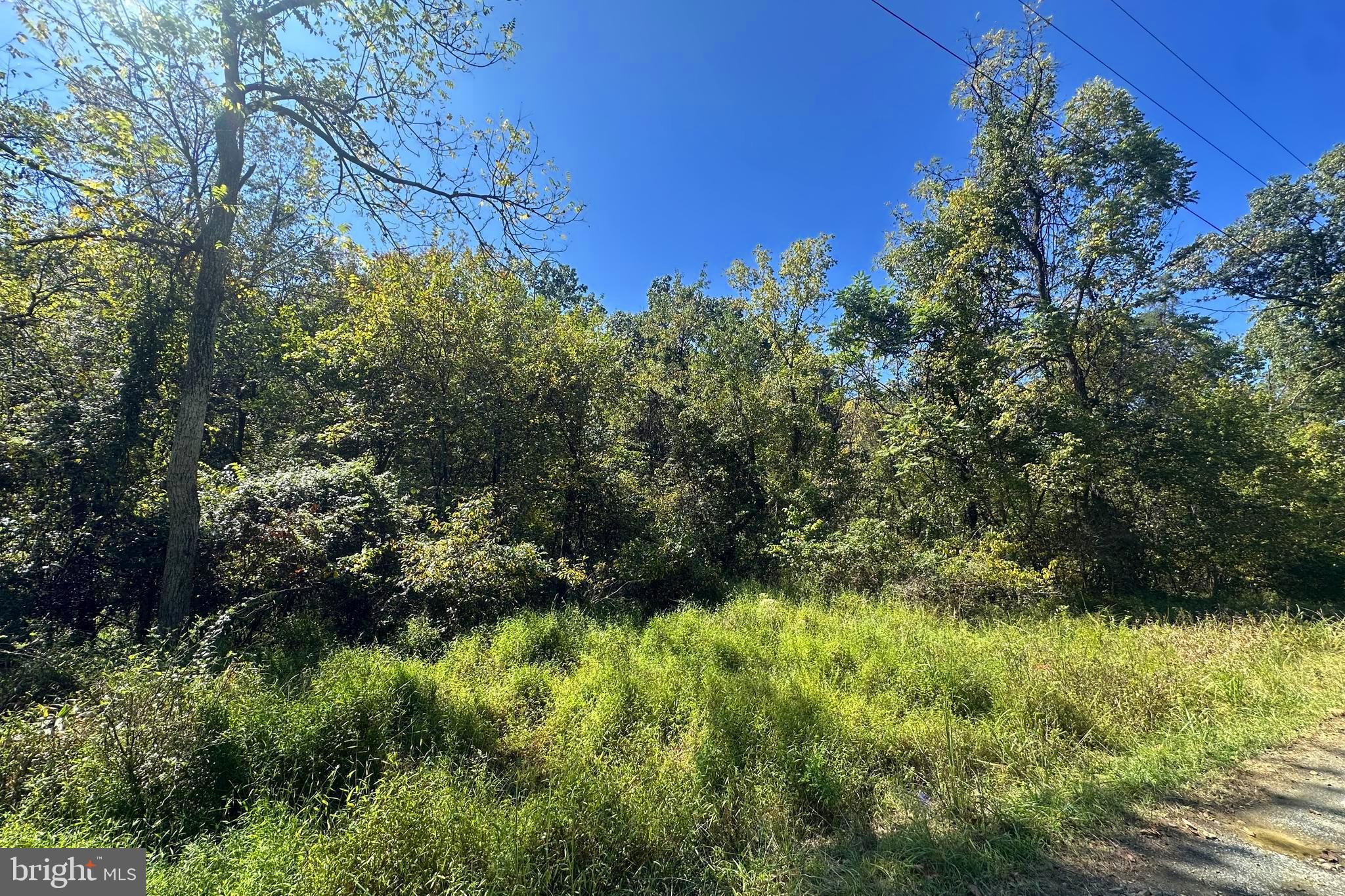 MAPLE GROVE MILLS - Land