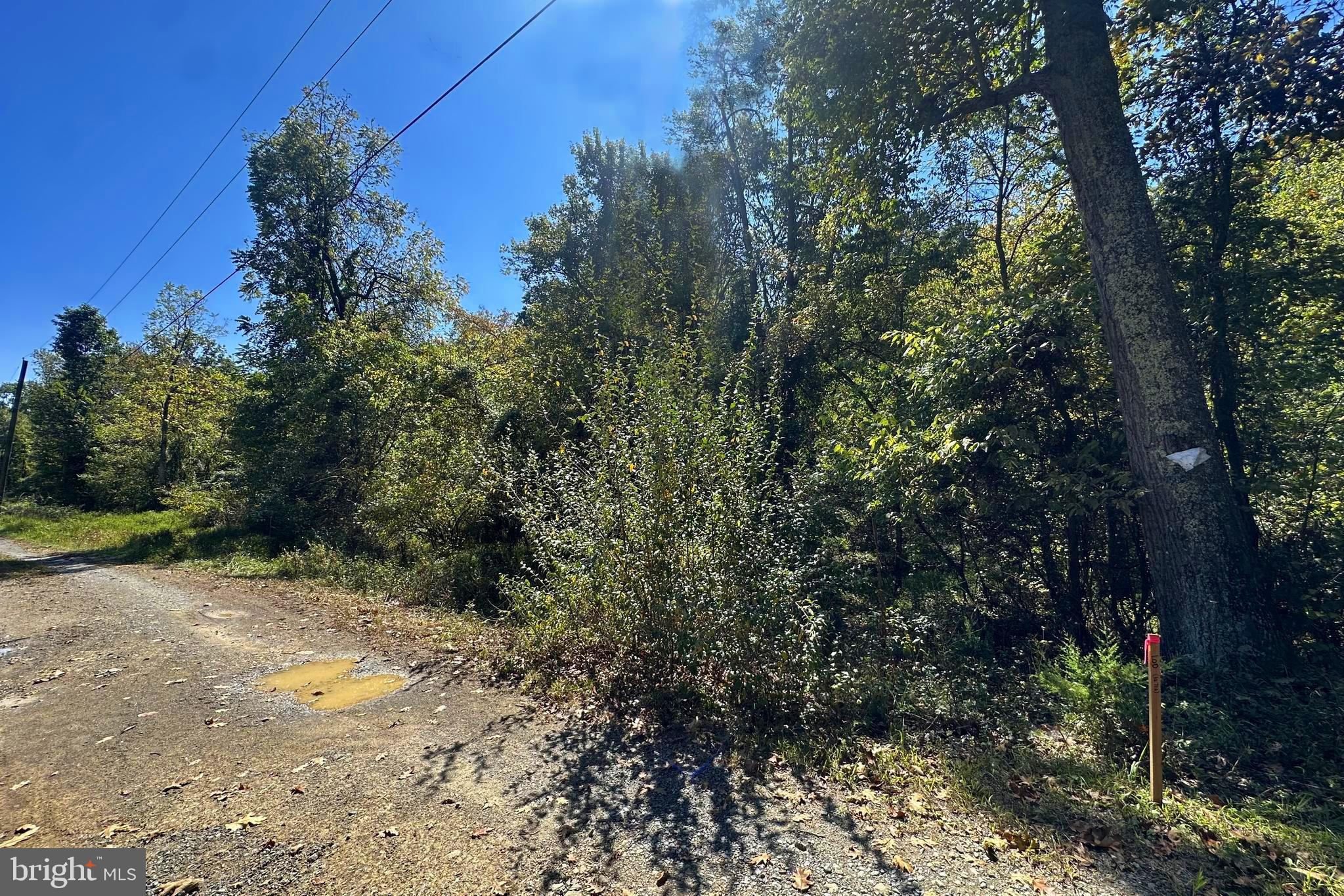 MAPLE GROVE MILLS - Land