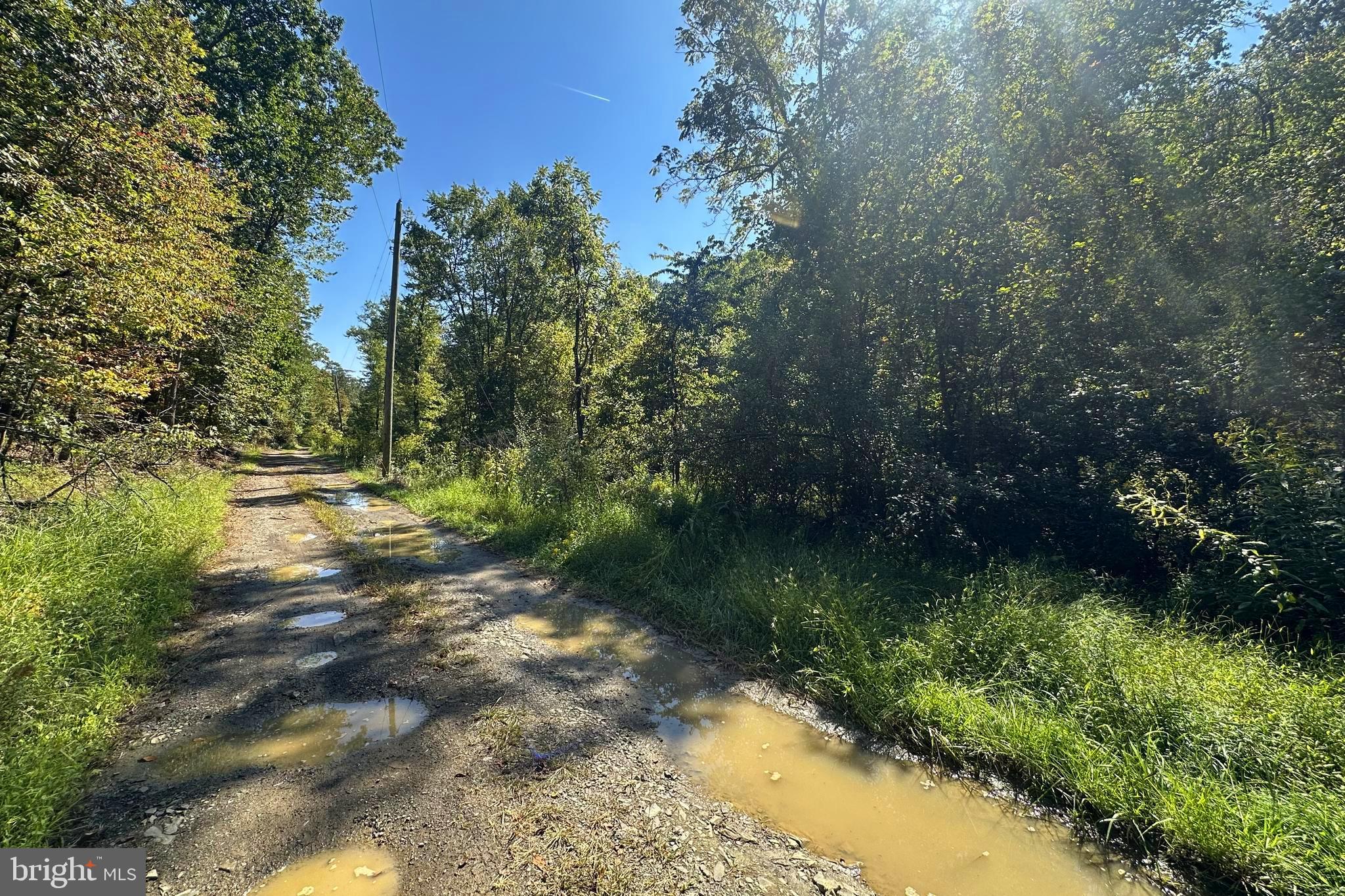 MAPLE GROVE MILLS - Land