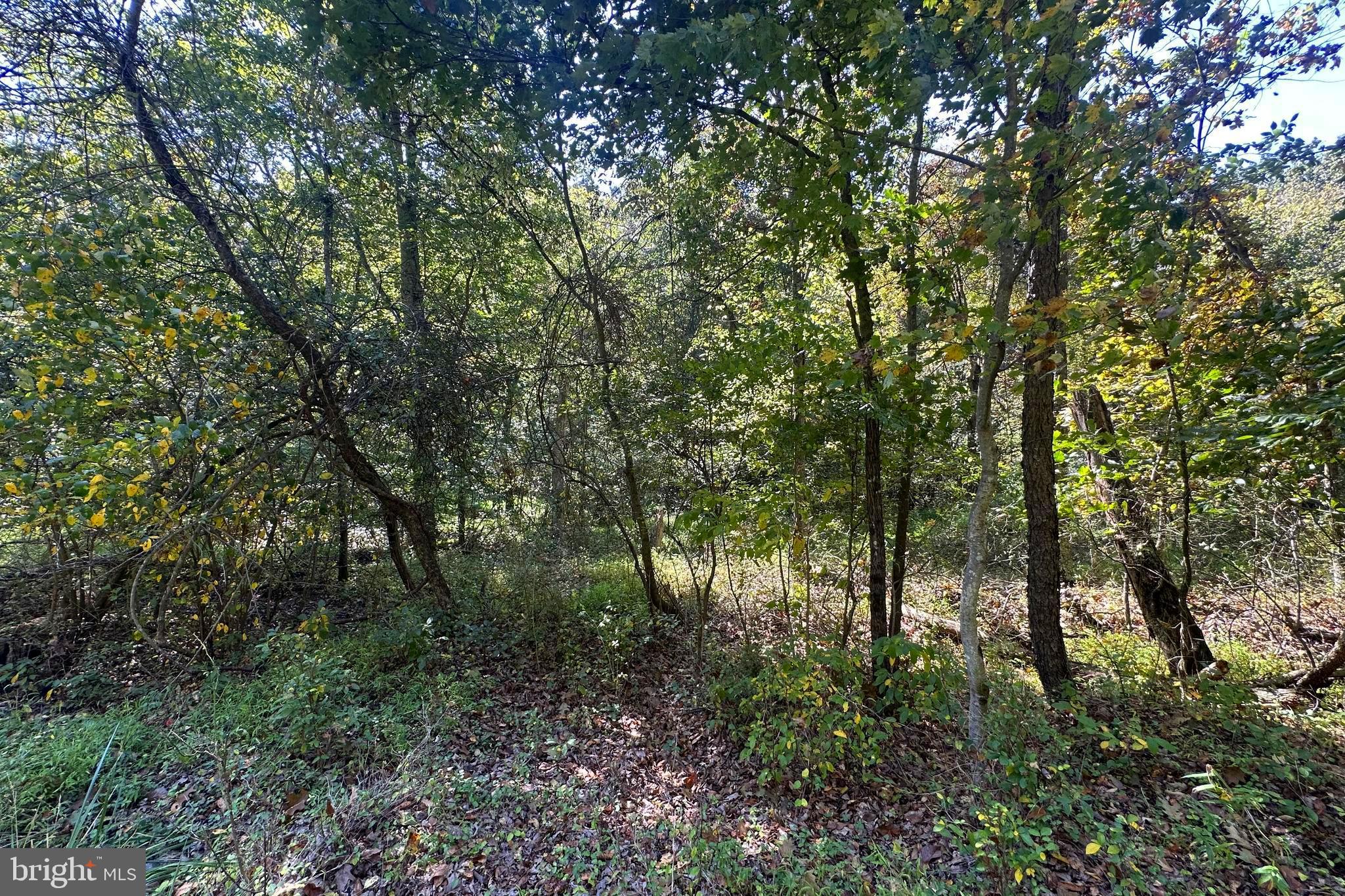 MAPLE GROVE MILLS - Land