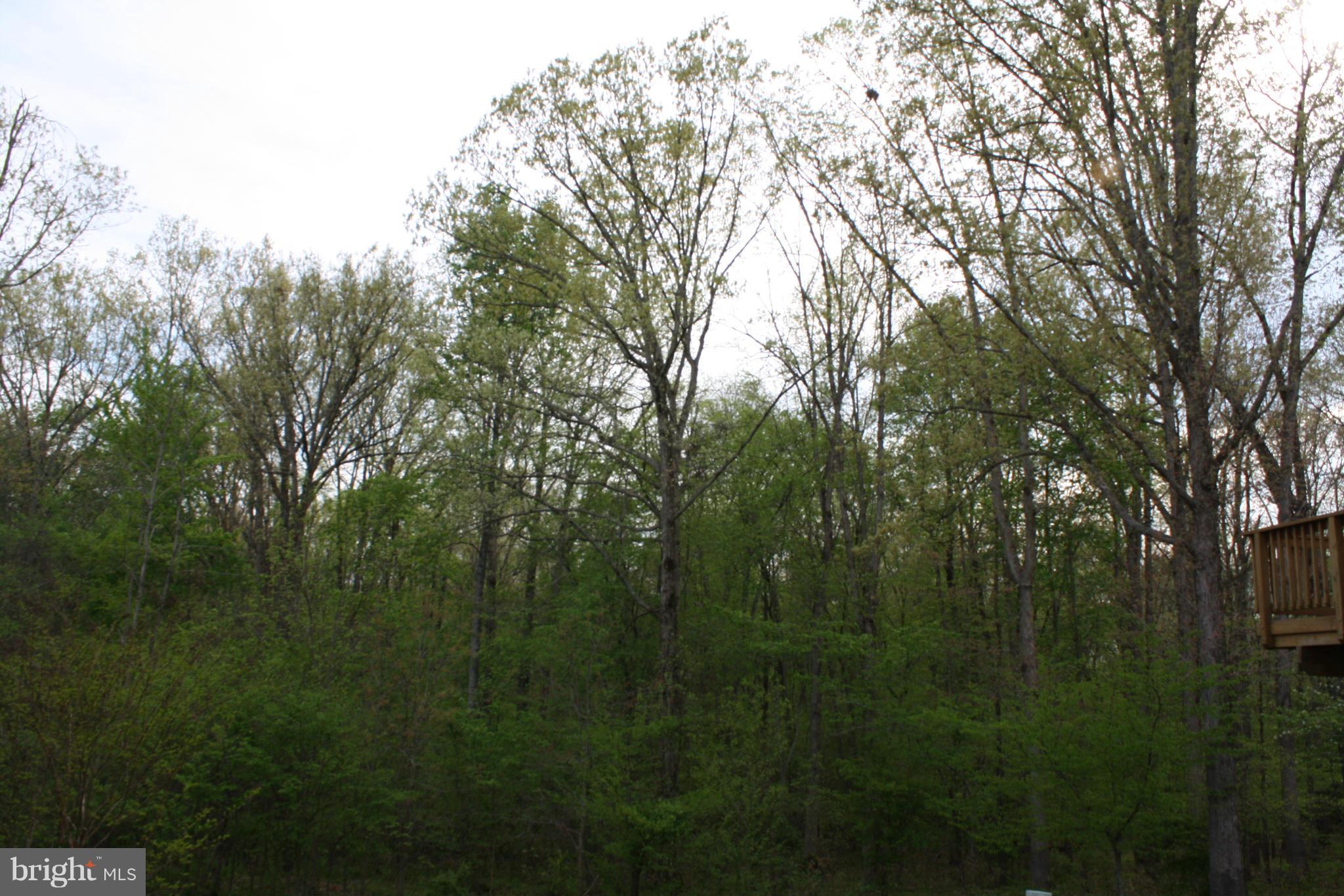 PEMBROOKE - Residential