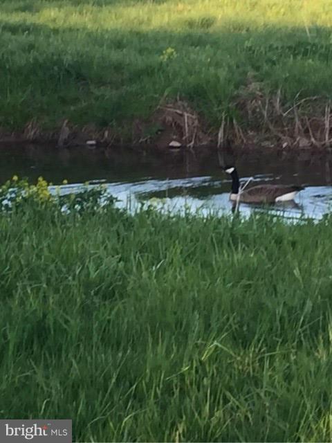 PEMBROOKE - Residential