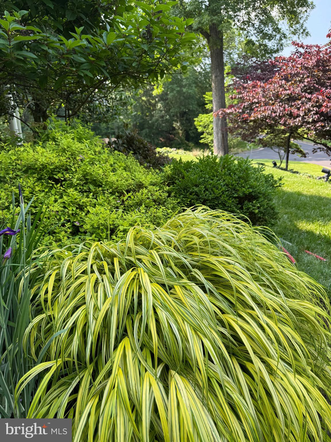 HILLCRESTSHIRE - Residential