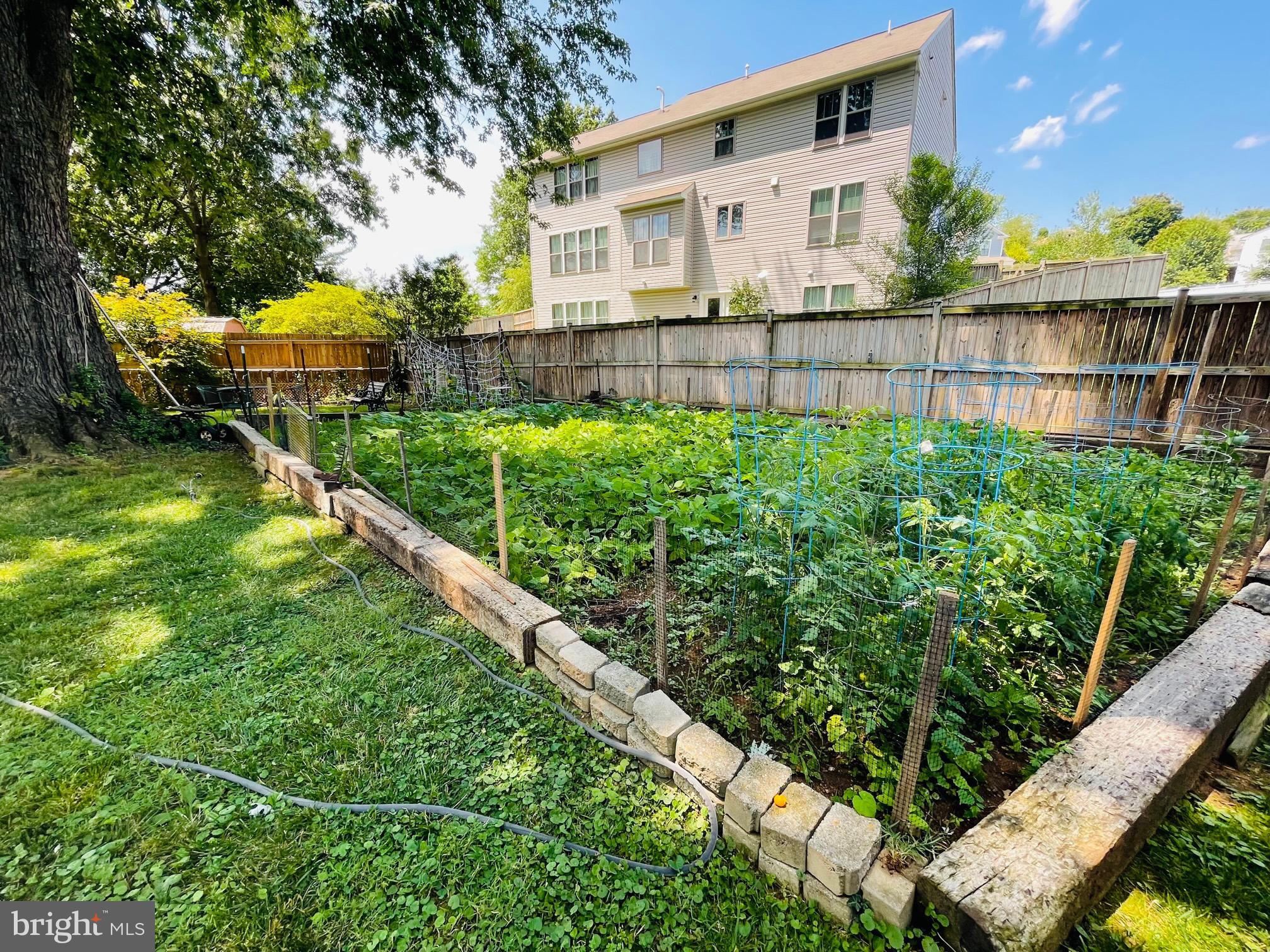 WAVERLEY HEIGHTS - Residential