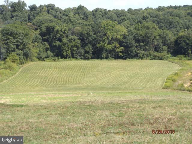 Municipal water & sewer make this lot ready to go. Storm sewer & water easement on property. Need a place to get exposure for merchandise check this one out!