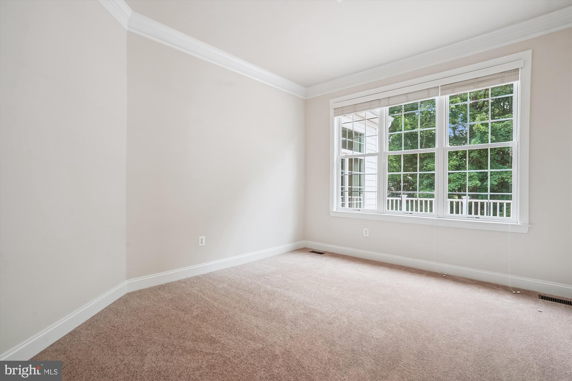 REGENCY AT DOMINION VALLEY - Residential