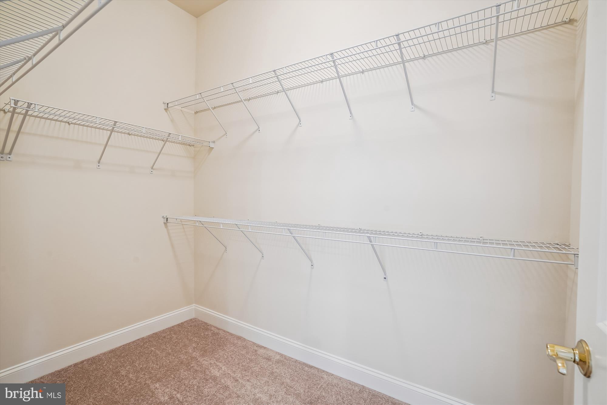 REGENCY AT DOMINION VALLEY - Residential