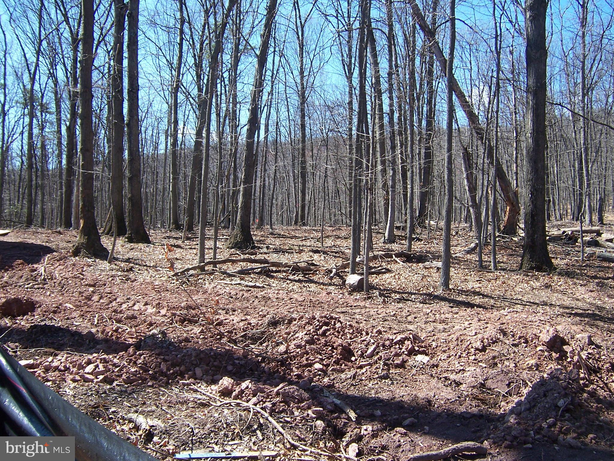 AVALON - Residential