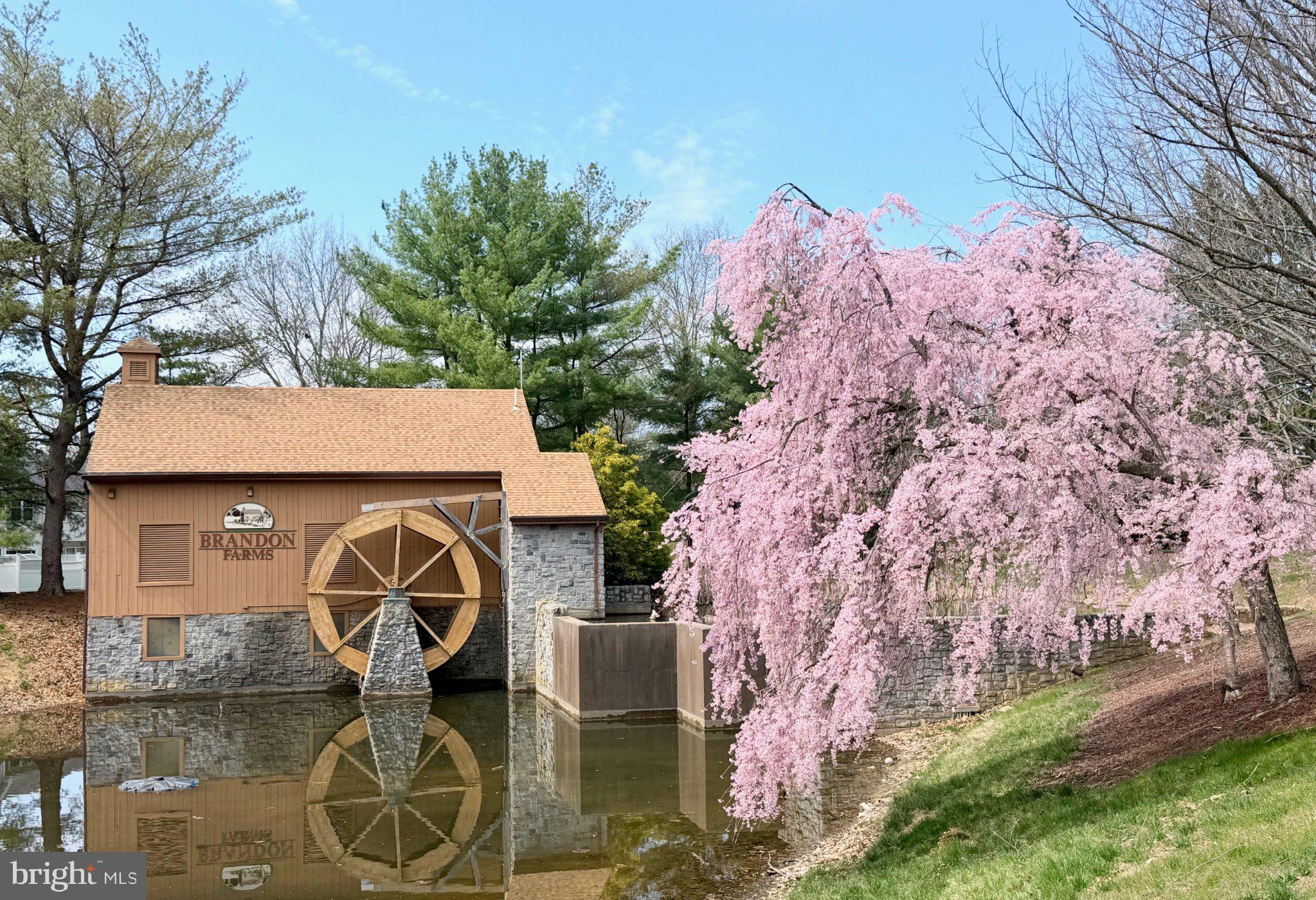 128 TREYMORE COURT