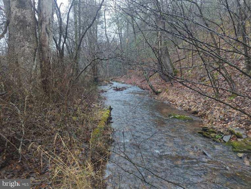 This 3.117 acre gem is a can't miss opportunity! Whether you want to build a dream home with a creek in your back yard or keep it as-is for camping and picnicking, you have plenty of options. Property has electric close by, fiber optic high speed internet nearby, and has an approved perc test (see attached documents). Perfect building site in a desirable HOA. Trees buffer the neighboring lots creating privacy. Easy access and well maintained paved road from Corridor H to property. No HOA fees since you do not use the shared road. 20 minutes to town of Moorefield. 15 minutes to Wardensville, where you will find an organic farmers market, new restaurants and coffee shops, and a convenient locally owned grocery store. Only a short 2 hour drive from Washington, D.C.