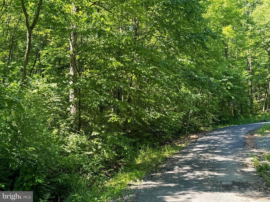 Owner financing available! Come take a look at this 4.05 acre lot off of Rt. 9 in Morgan County just right outside of the Berkeley County line! This could be the lot for you to build your dream home on! The lot is wooded, offering you plenty of peace and quiet making you feel like you are getting away from all the hustle and bustle while still being close to your everyday needs. Schedule a showing today!