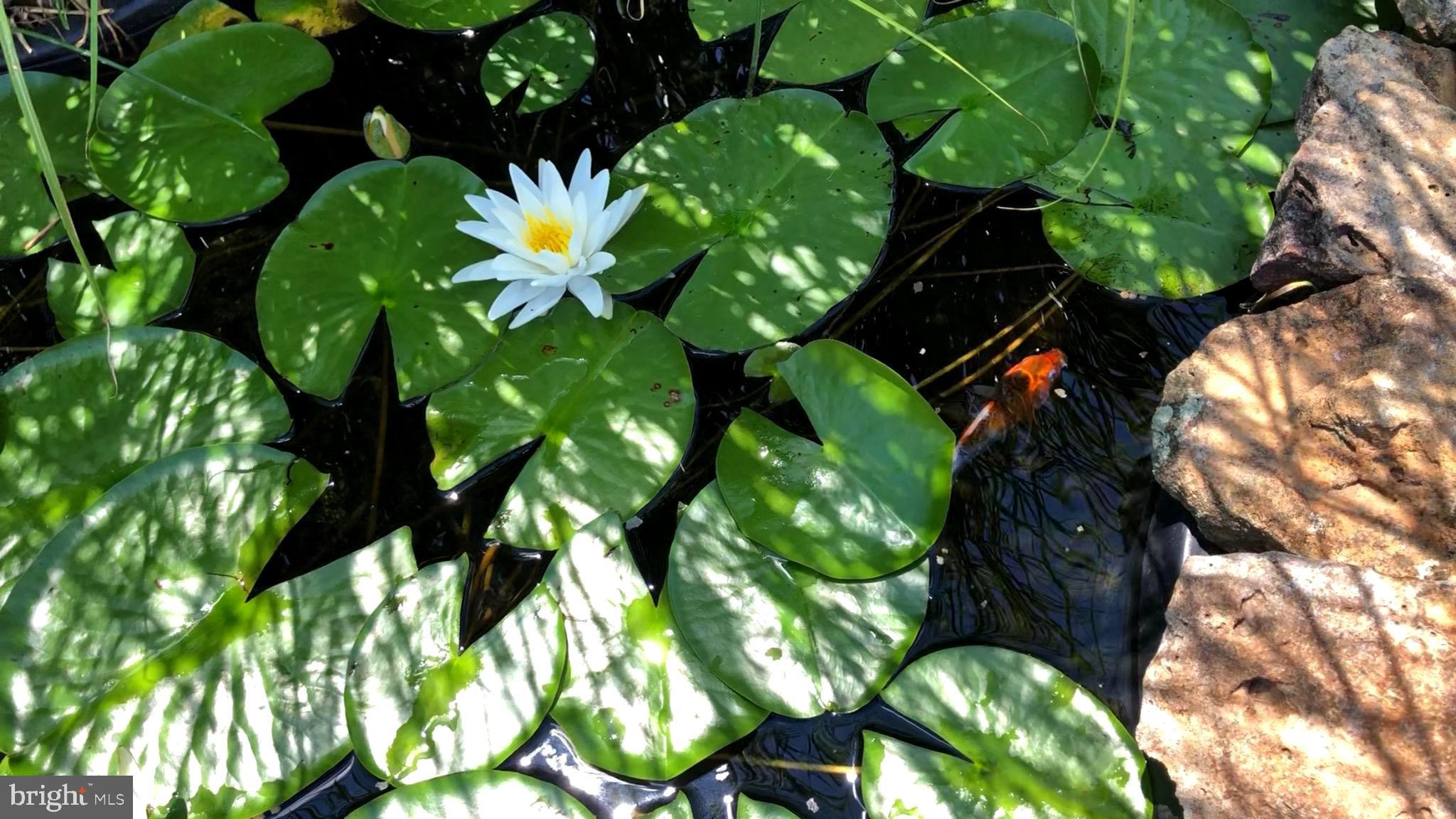 CRYSTAL BROOK II - Residential Lease