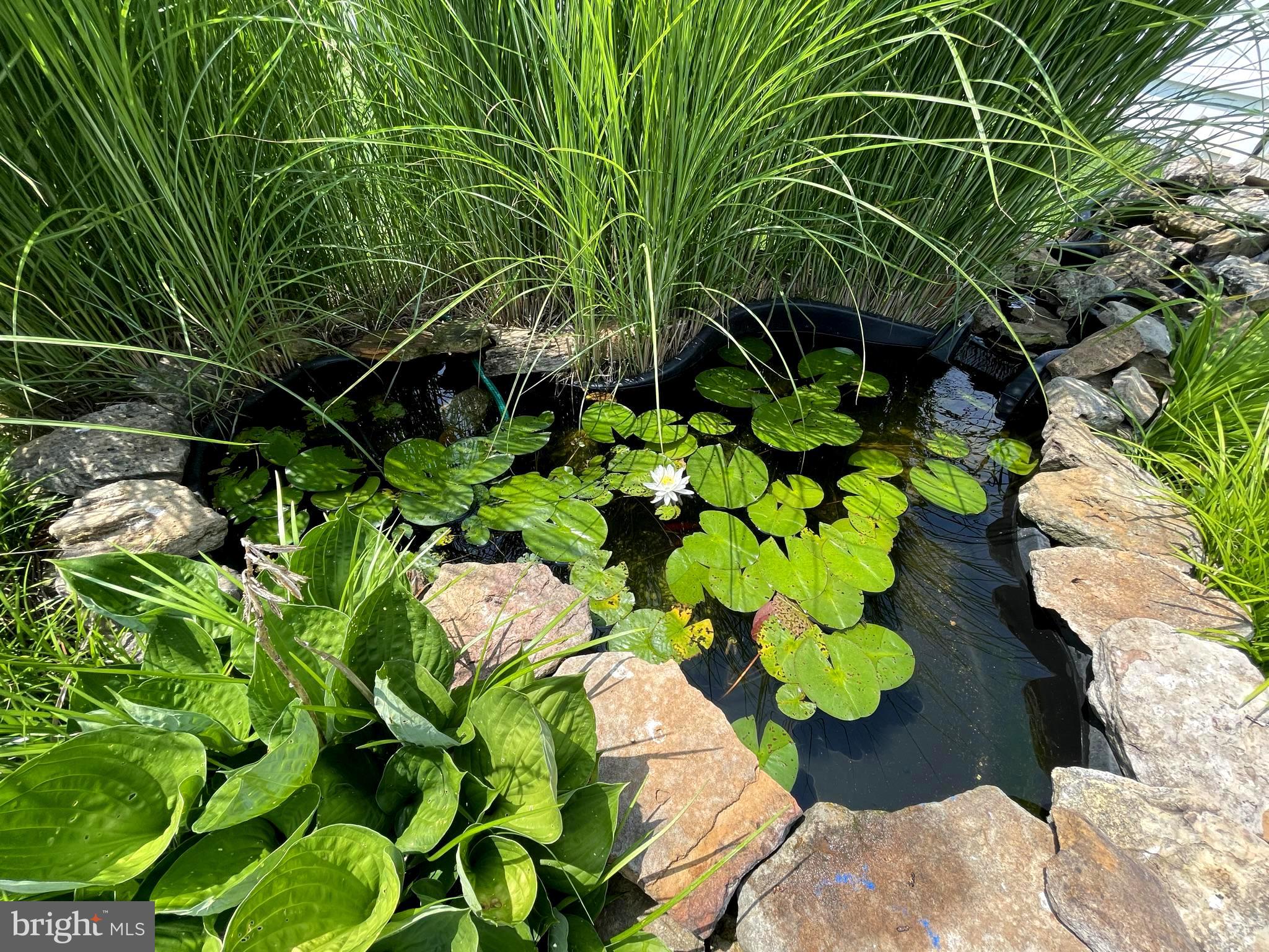 CRYSTAL BROOK II - Residential Lease