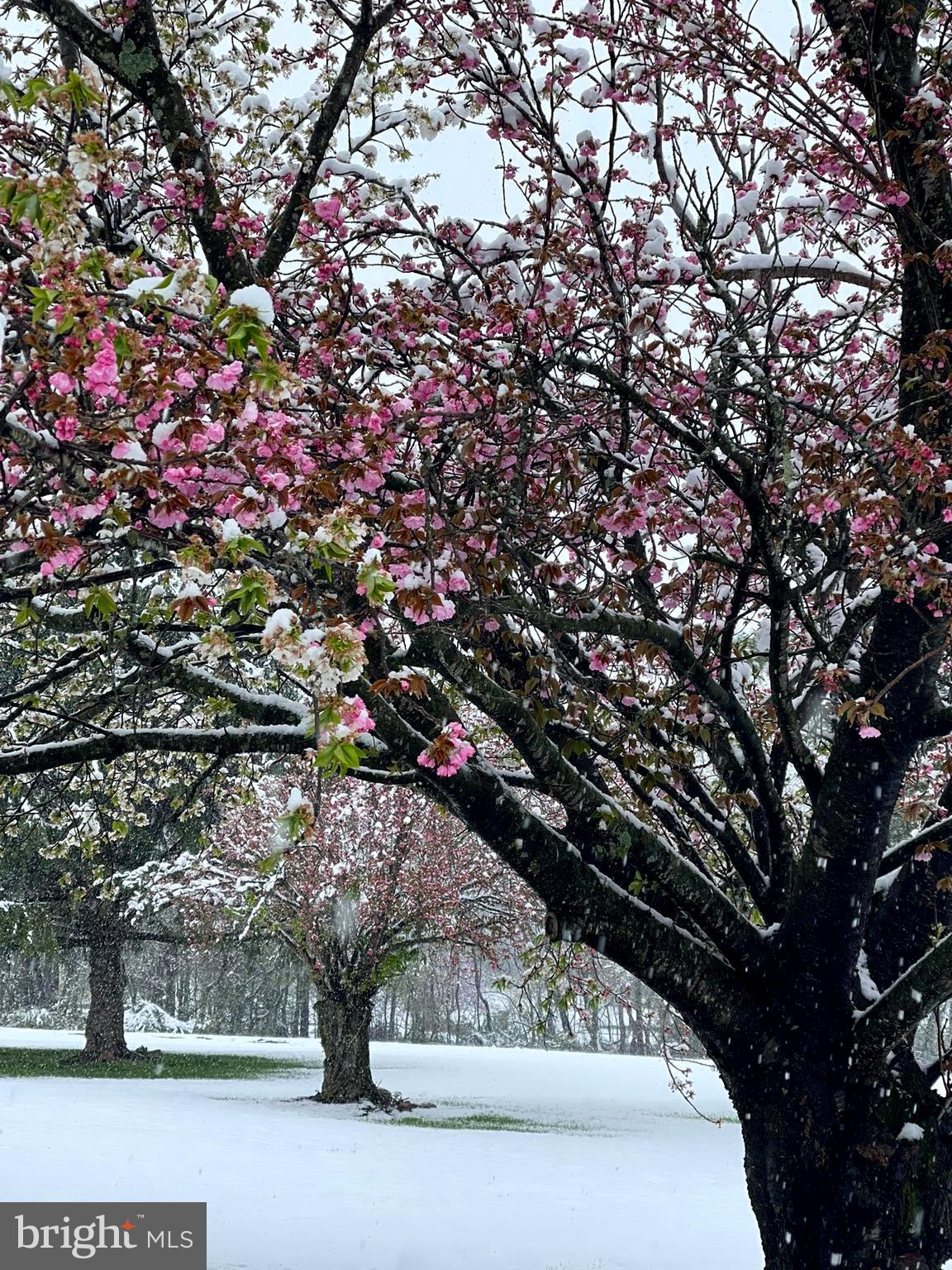 CRYSTAL BROOK II - Residential Lease