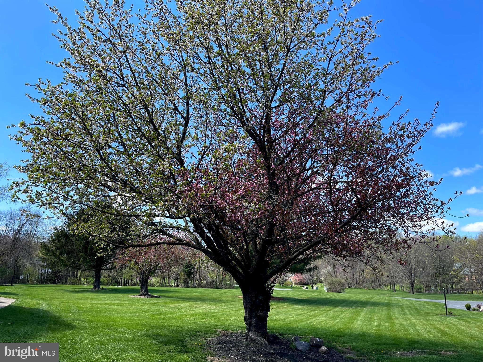 CRYSTAL BROOK II - Residential Lease