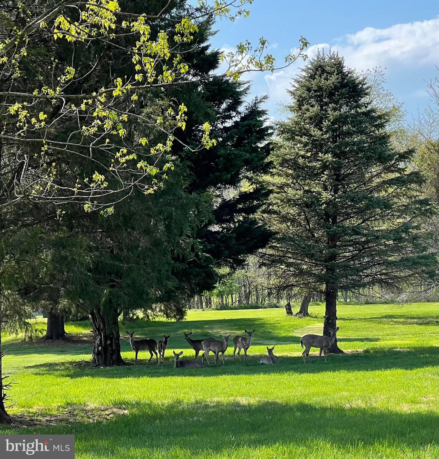 CRYSTAL BROOK II - Residential Lease