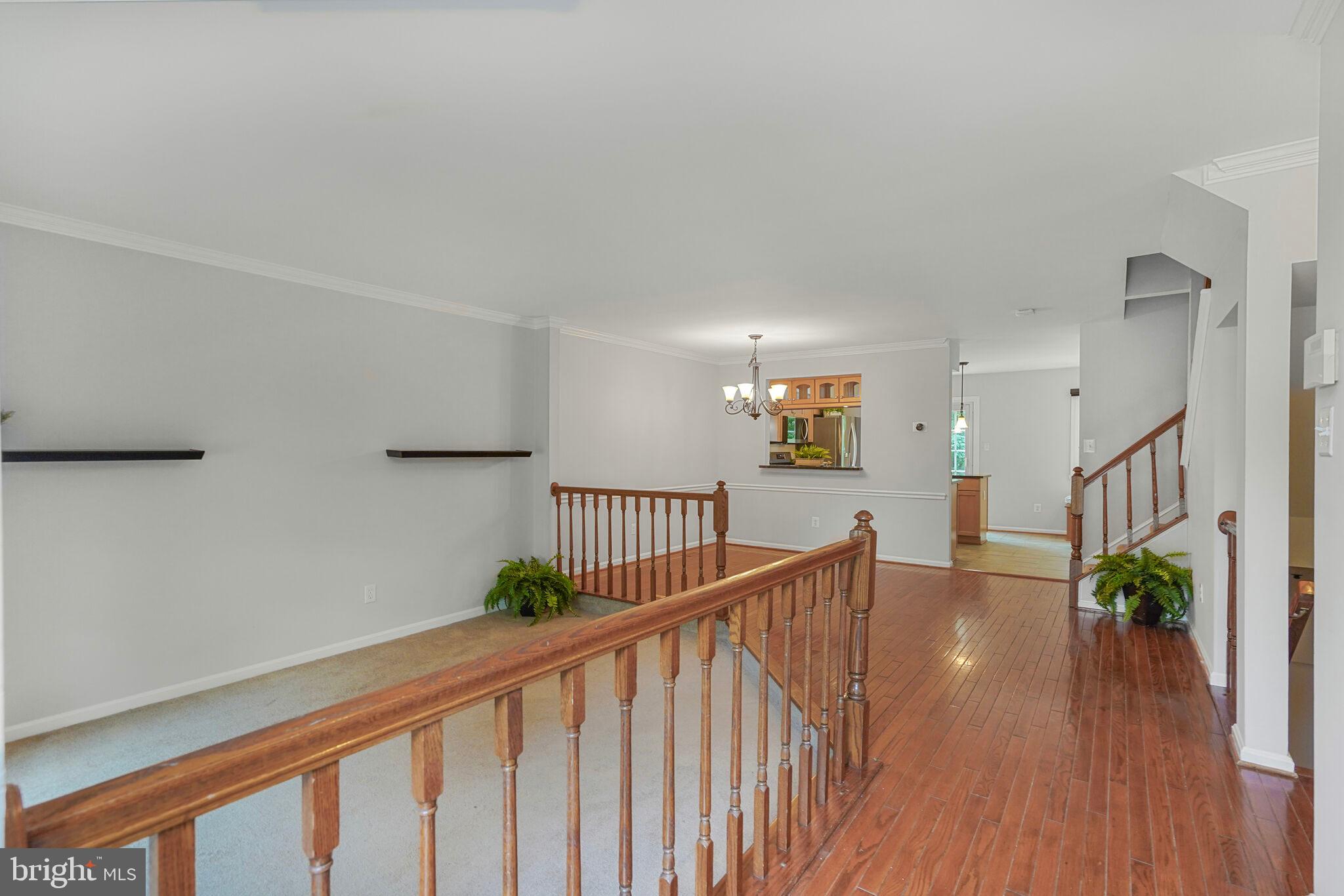 7228 LENSFIELD COURT