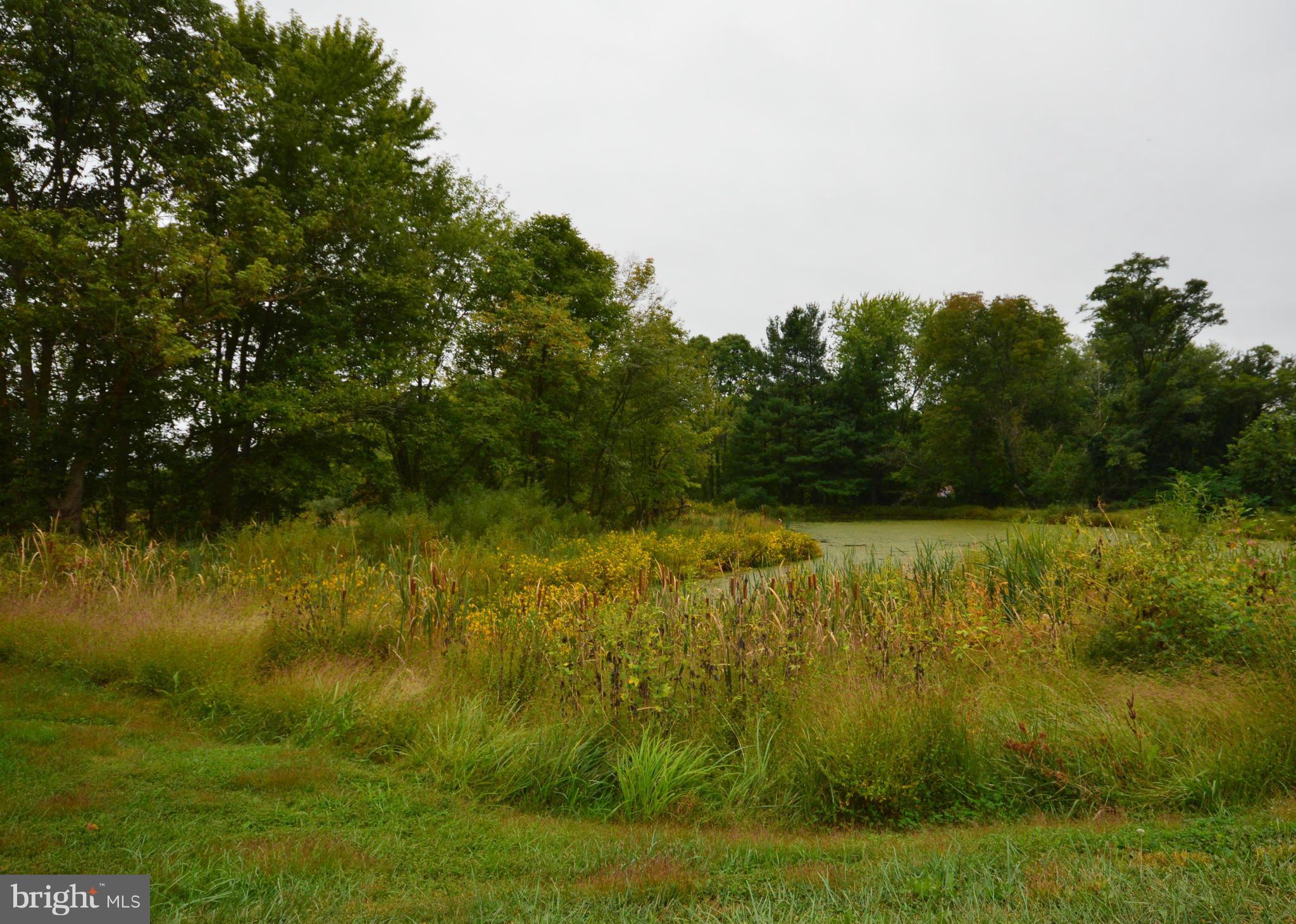 LAKEVIEW VILLAGE - Residential