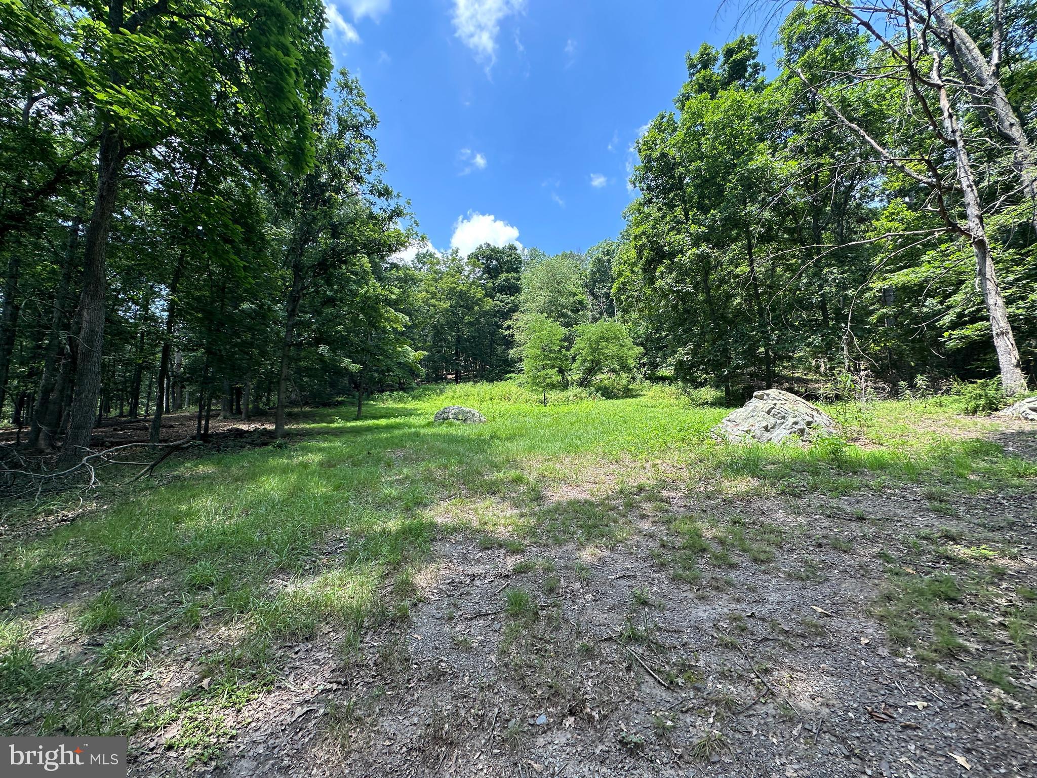 WHITSONS POINT - Land