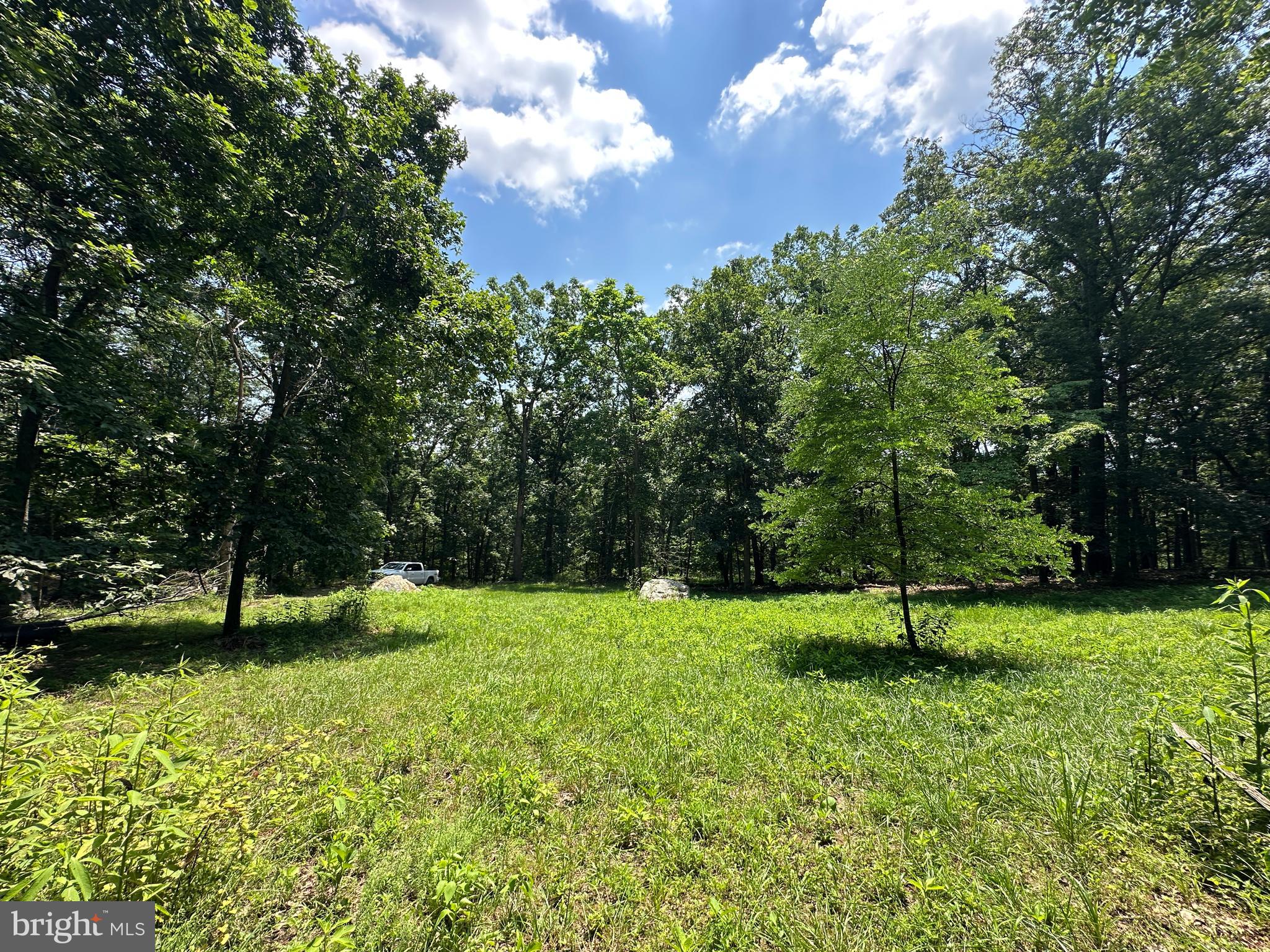 WHITSONS POINT - Land