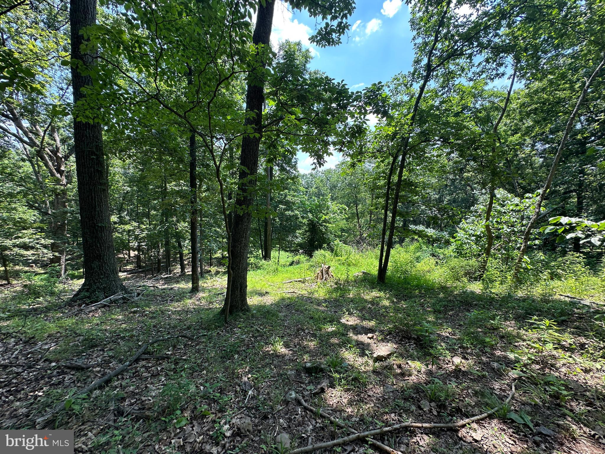 WHITSONS POINT - Land