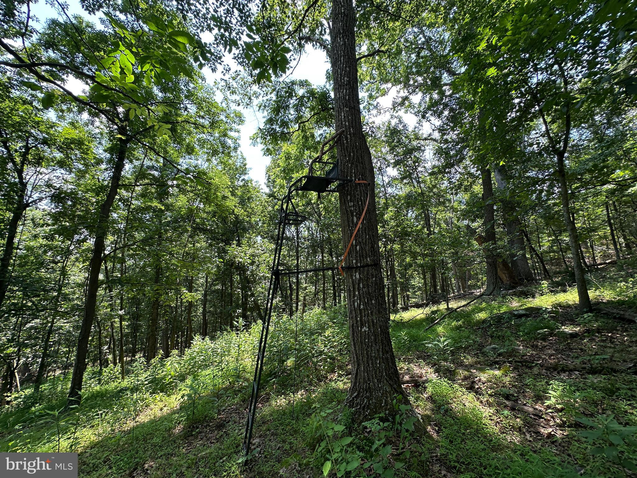 WHITSONS POINT - Land