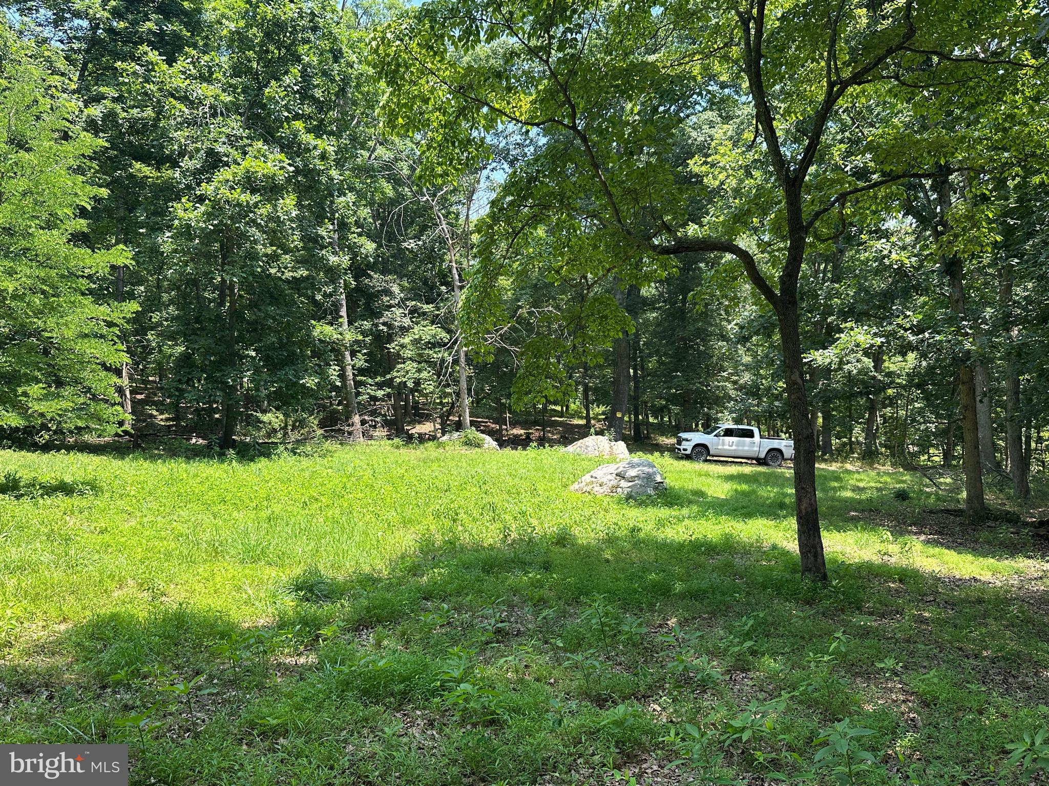 WHITSONS POINT - Land