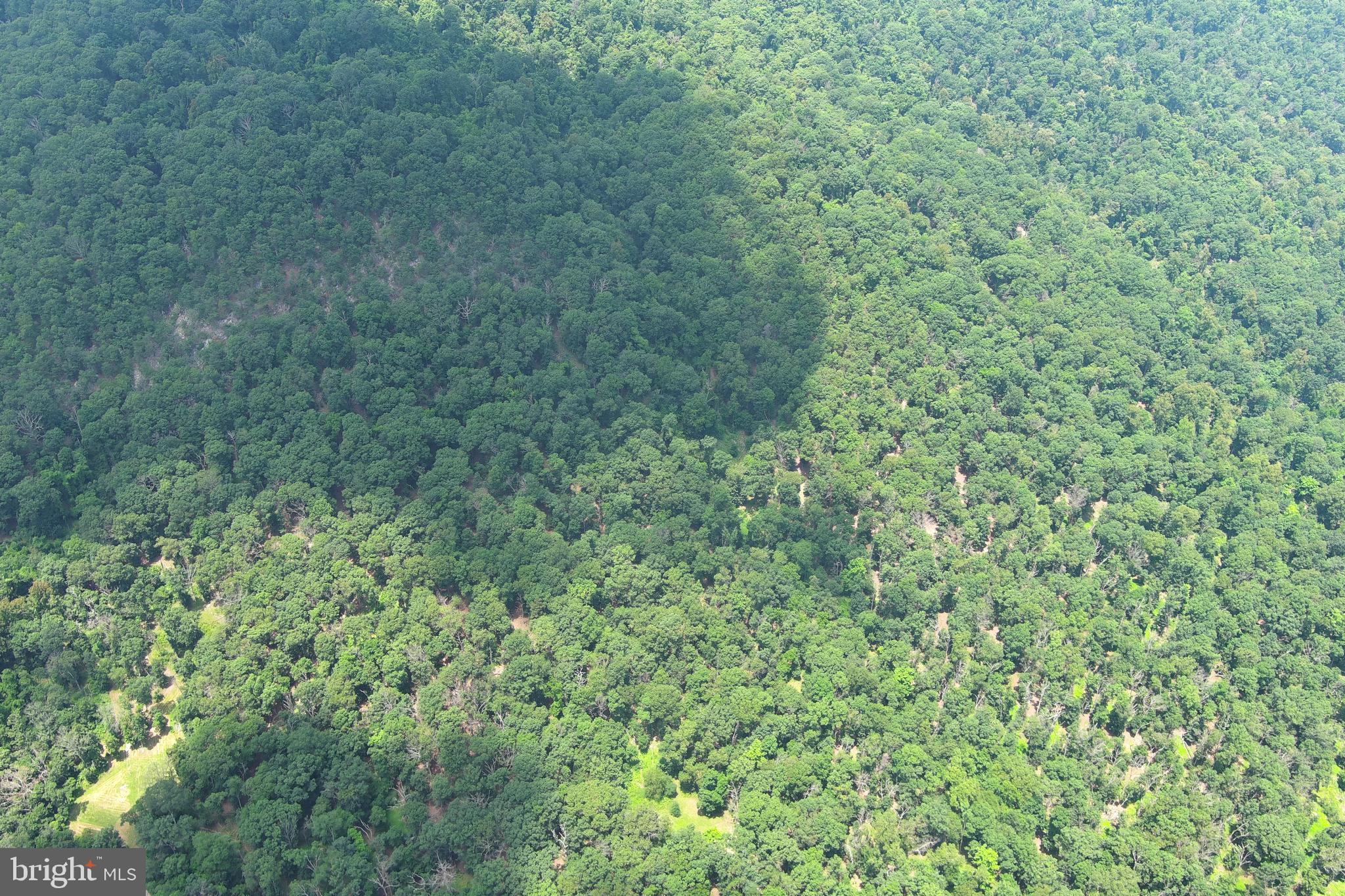 WHITSONS POINT - Land