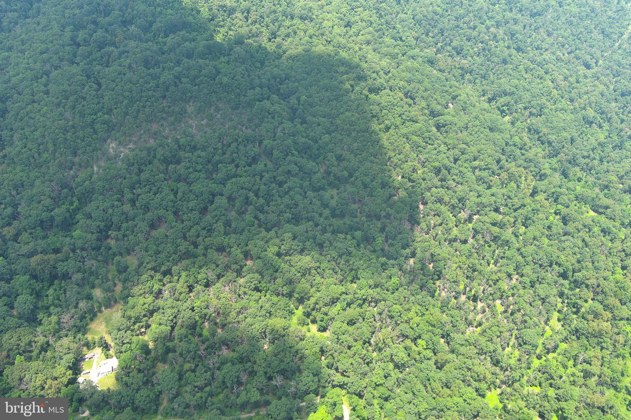 WHITSONS POINT - Land