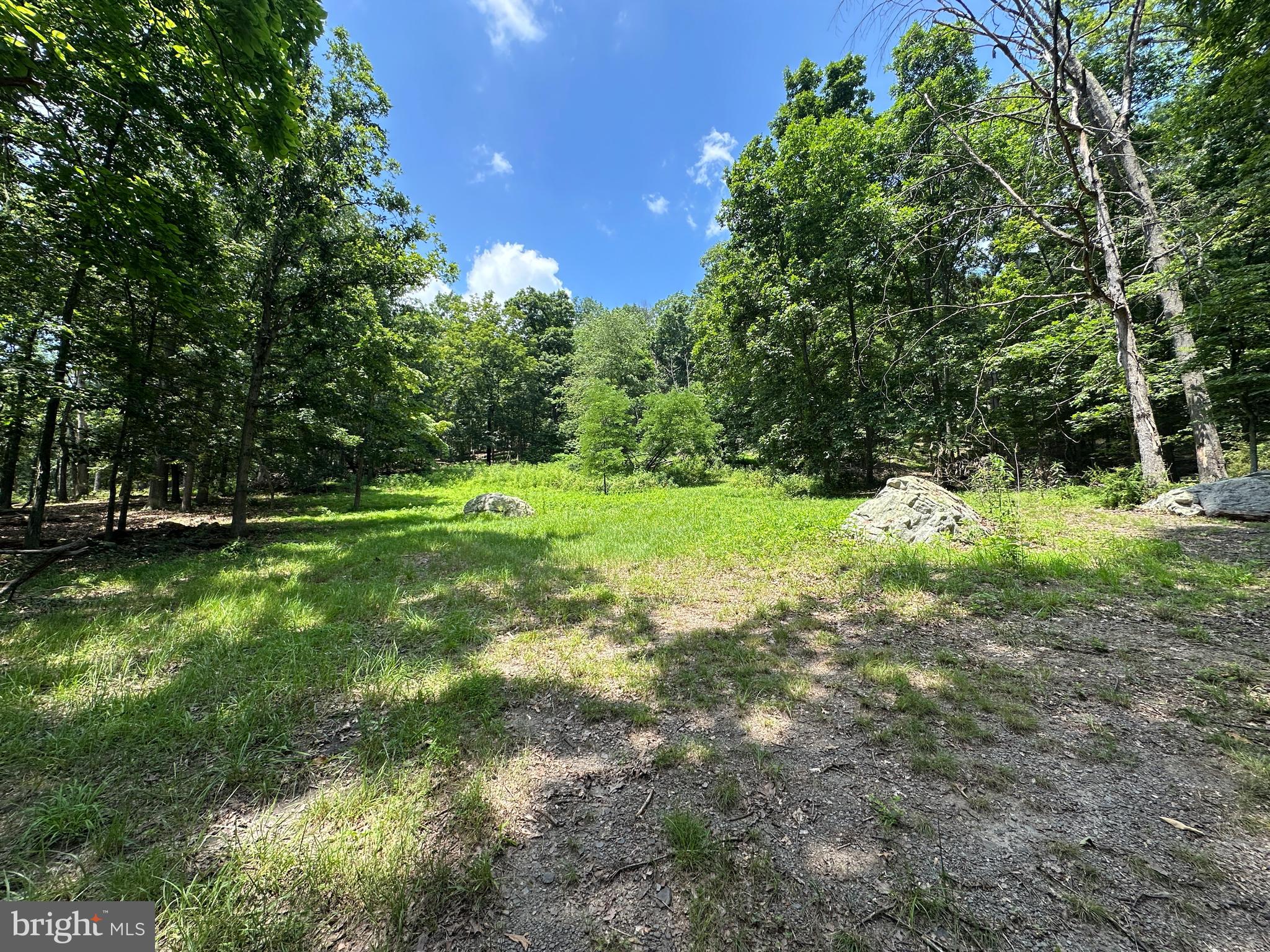 WHITSONS POINT - Land