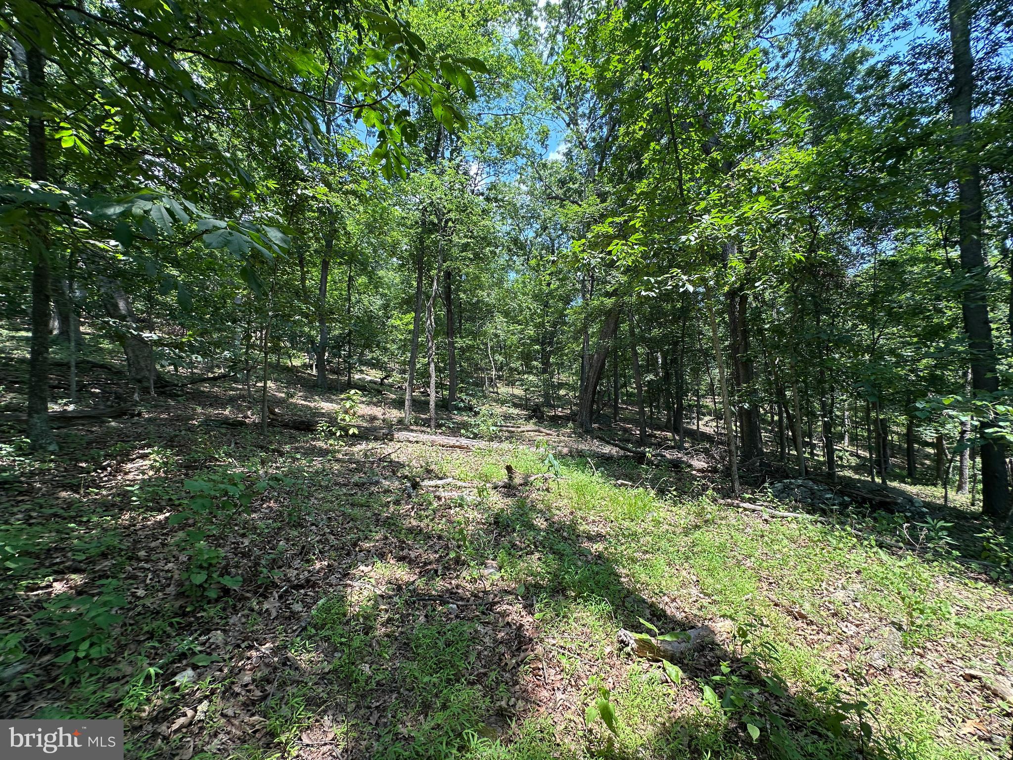 WHITSONS POINT - Land