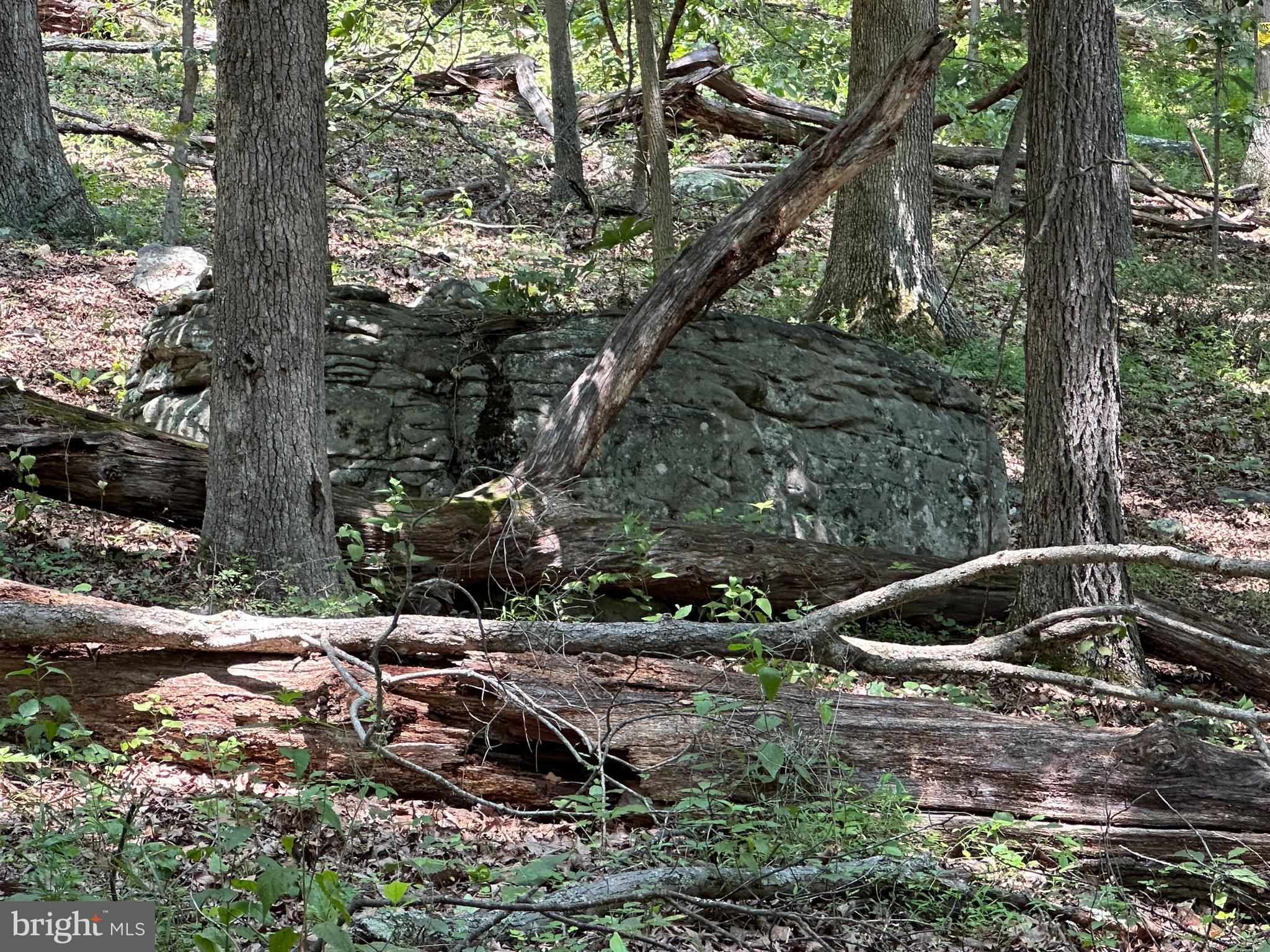 WHITSONS POINT - Land