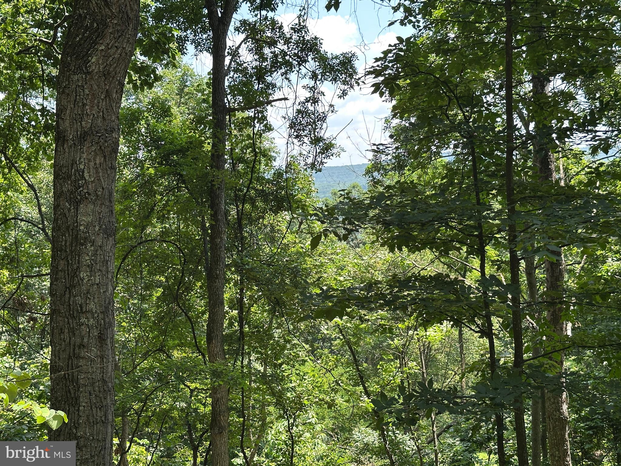 WHITSONS POINT - Land