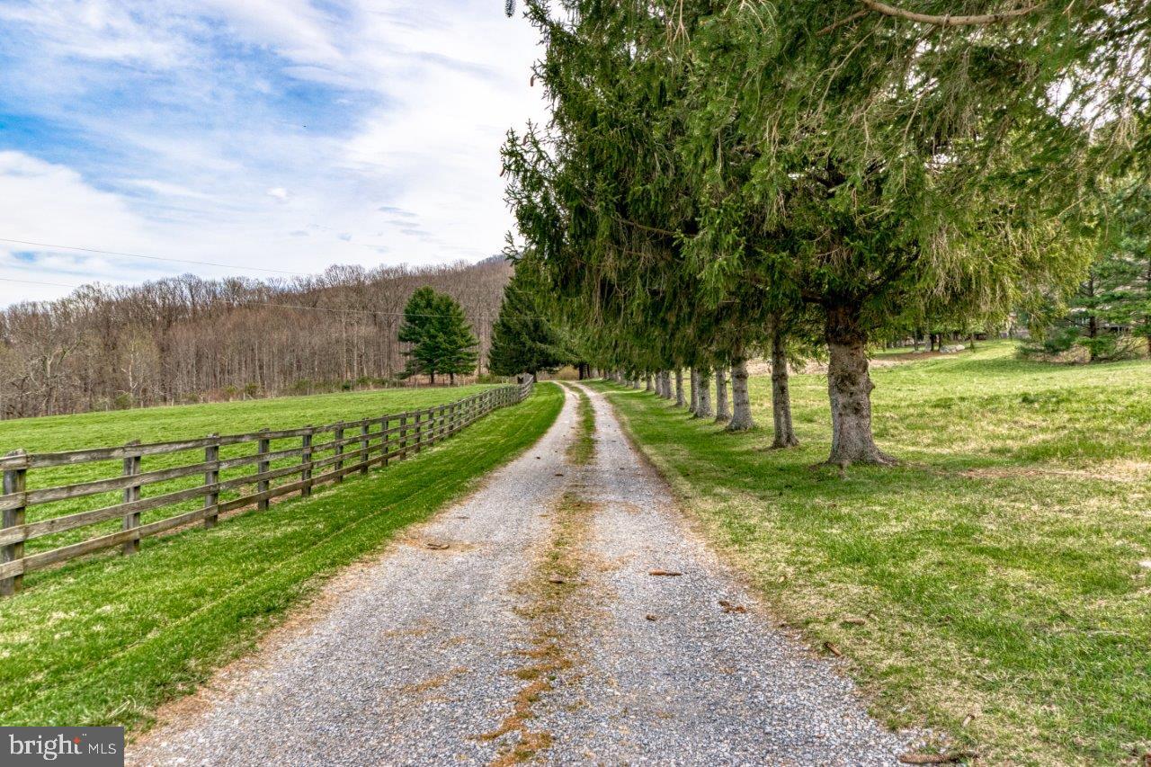 NONE AVAILABLE - Farm