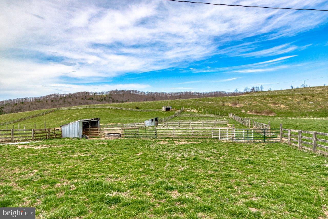 NONE AVAILABLE - Farm