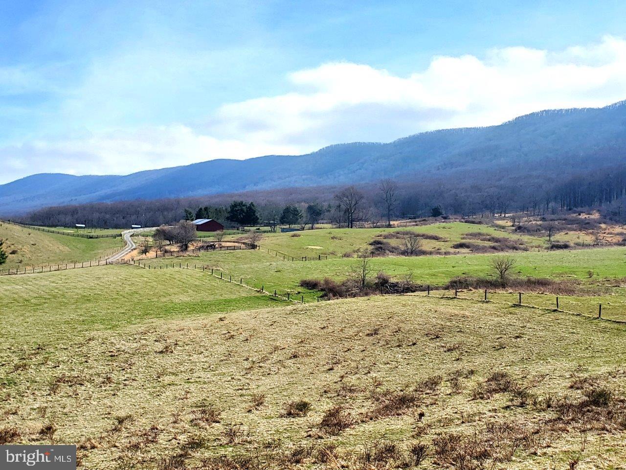 NONE AVAILABLE - Farm