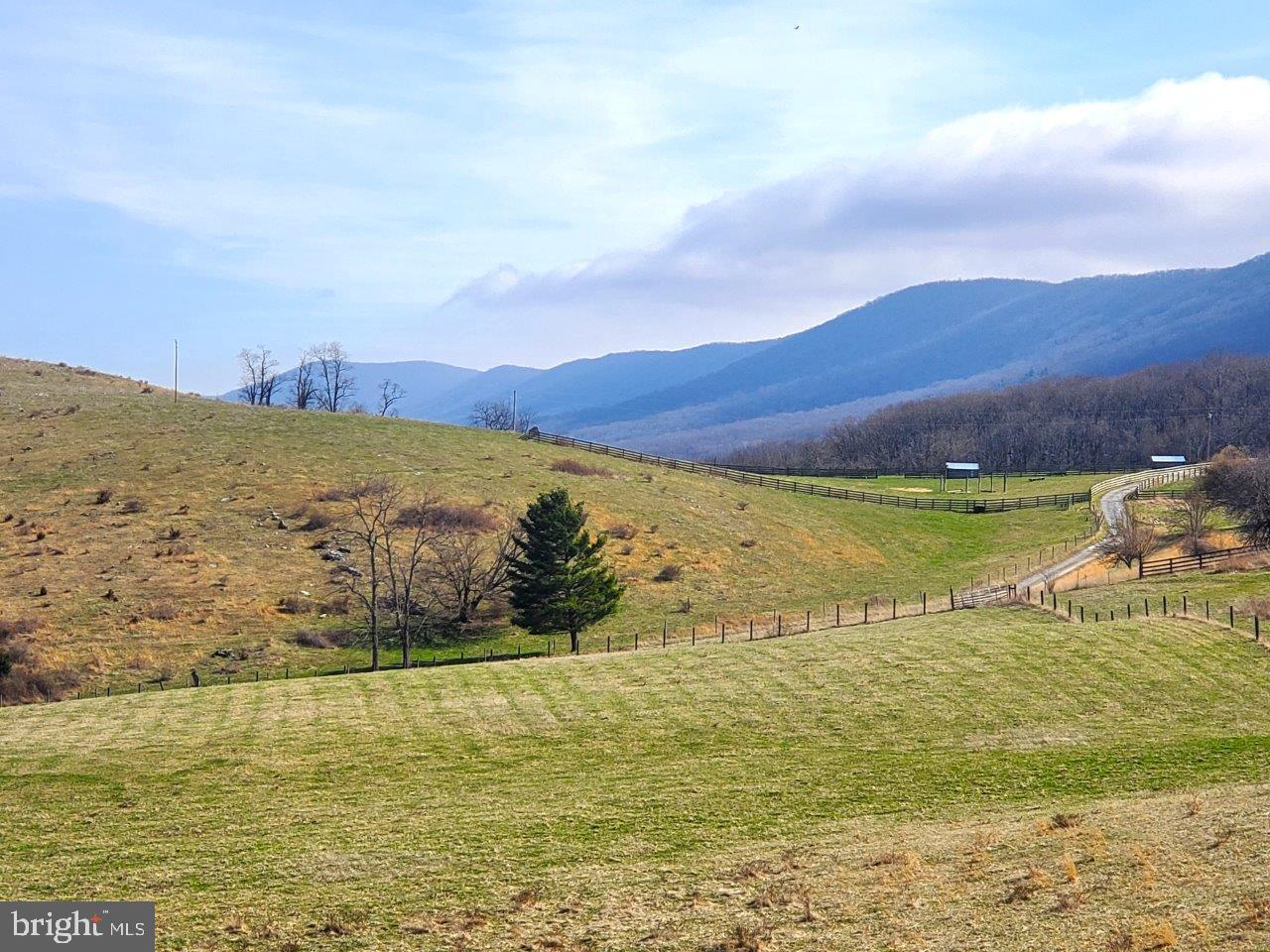 NONE AVAILABLE - Farm