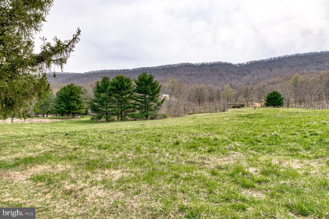 NONE AVAILABLE - Farm