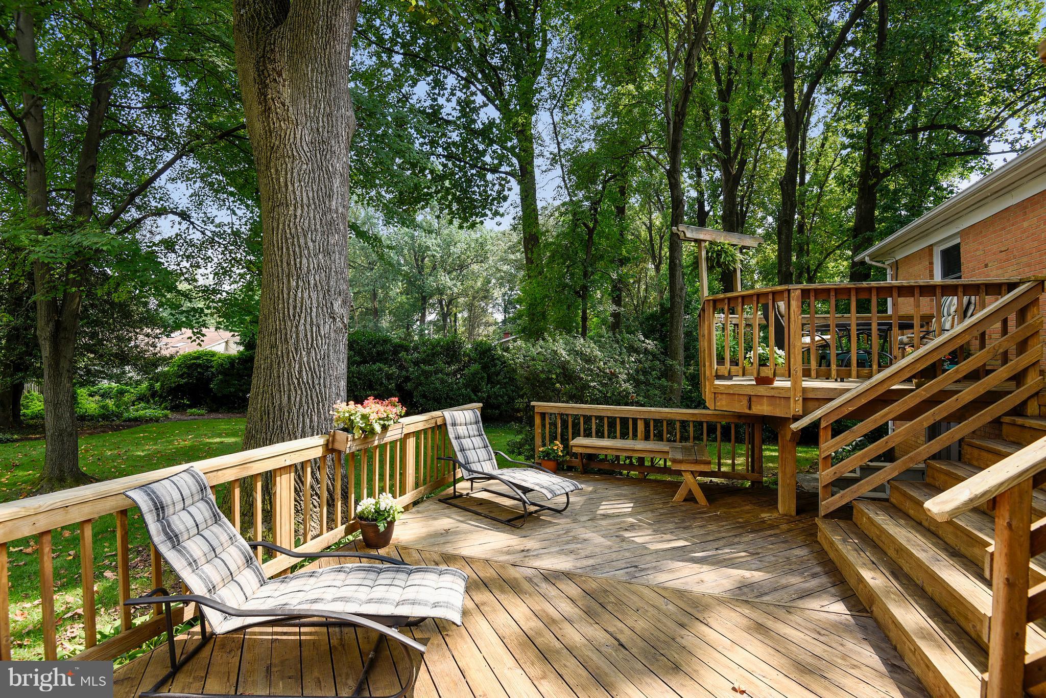 KINGWOOD PARK - Residential