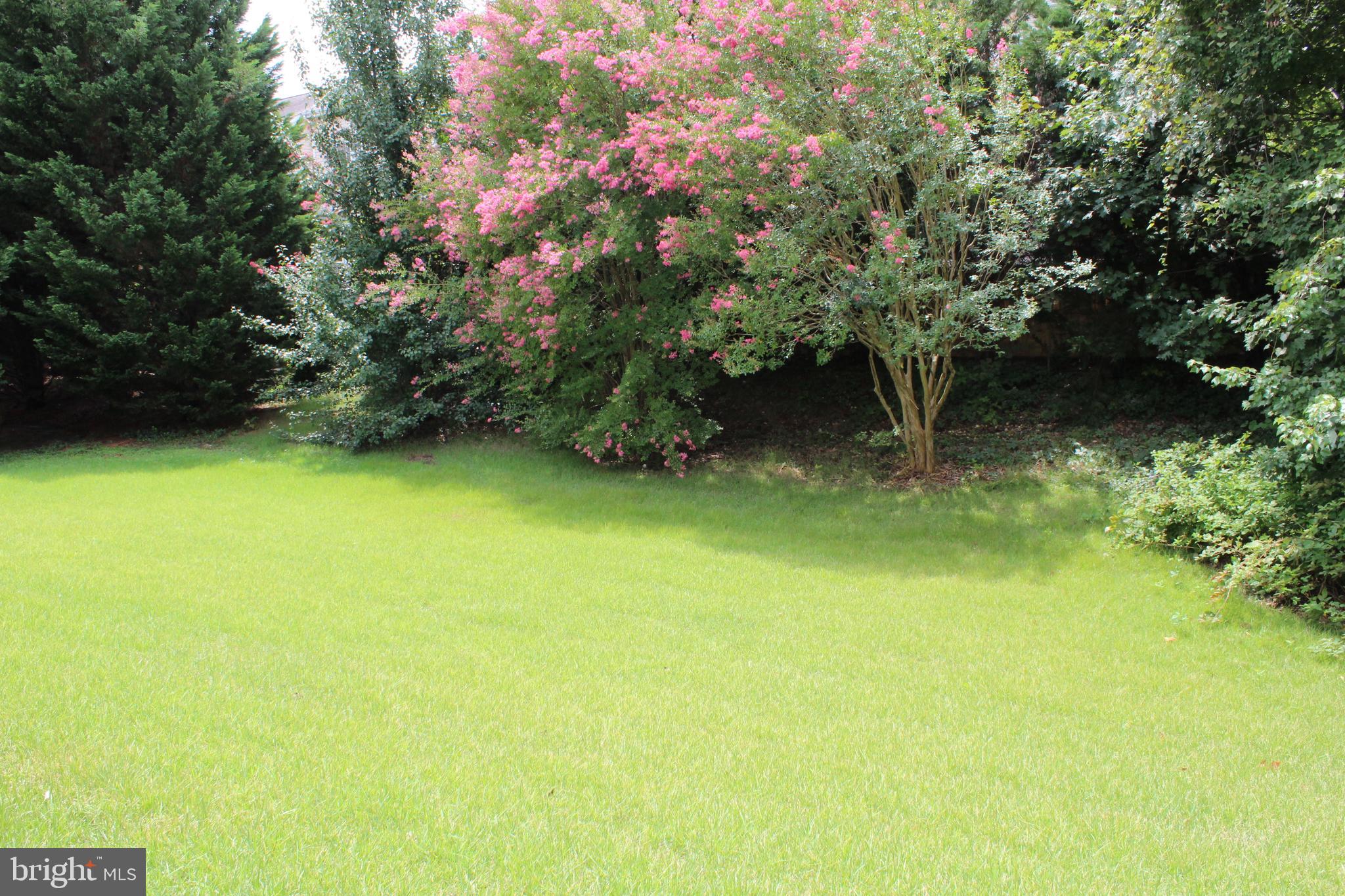 COLECHESTER VILLAGE - Residential Lease