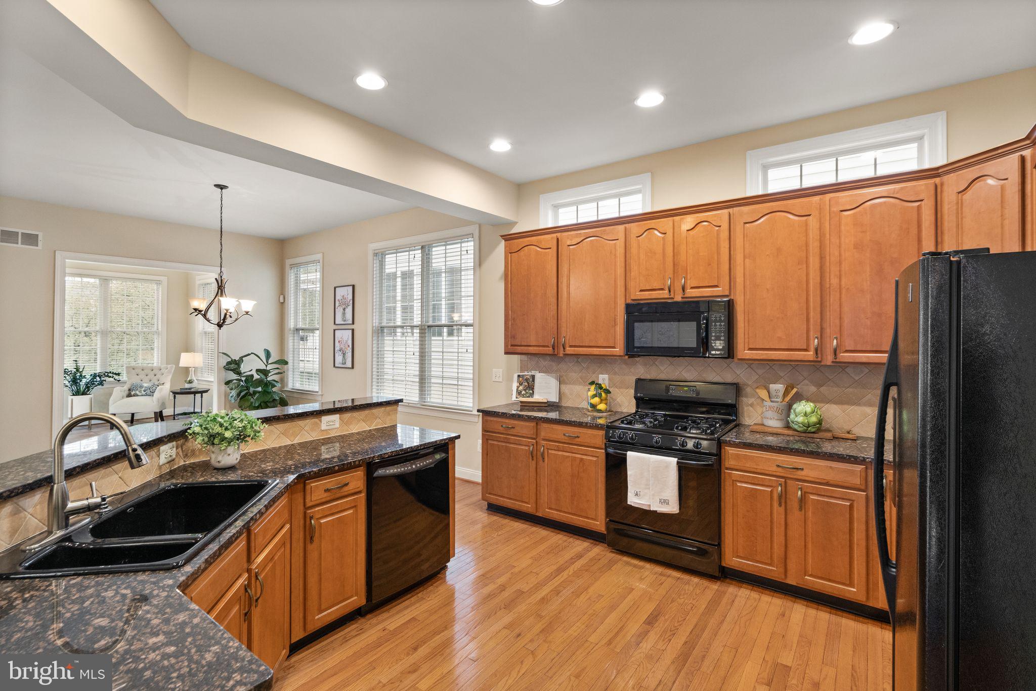 REGENCY AT DOMINION VALLEY - Residential