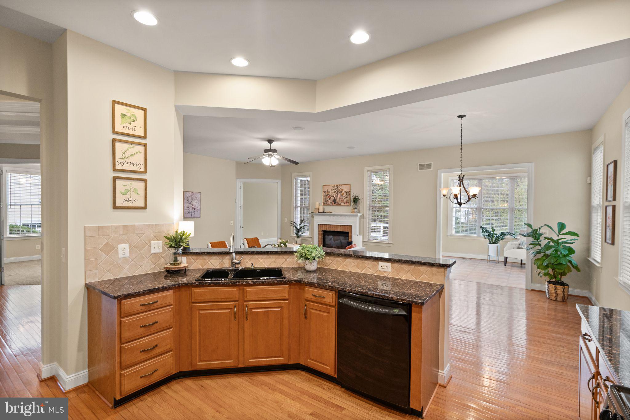 REGENCY AT DOMINION VALLEY - Residential