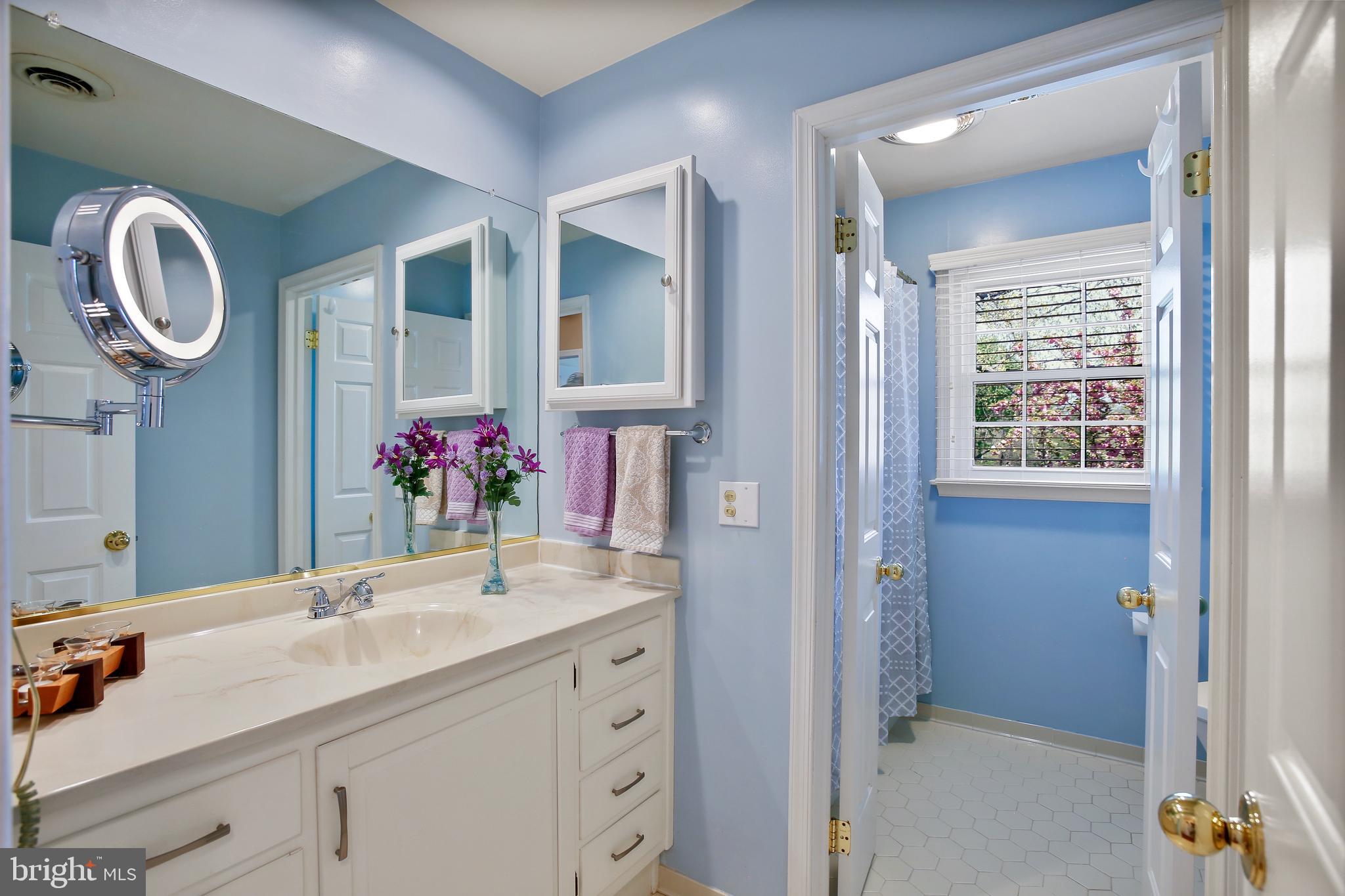 20901 LOCHAVEN COURT