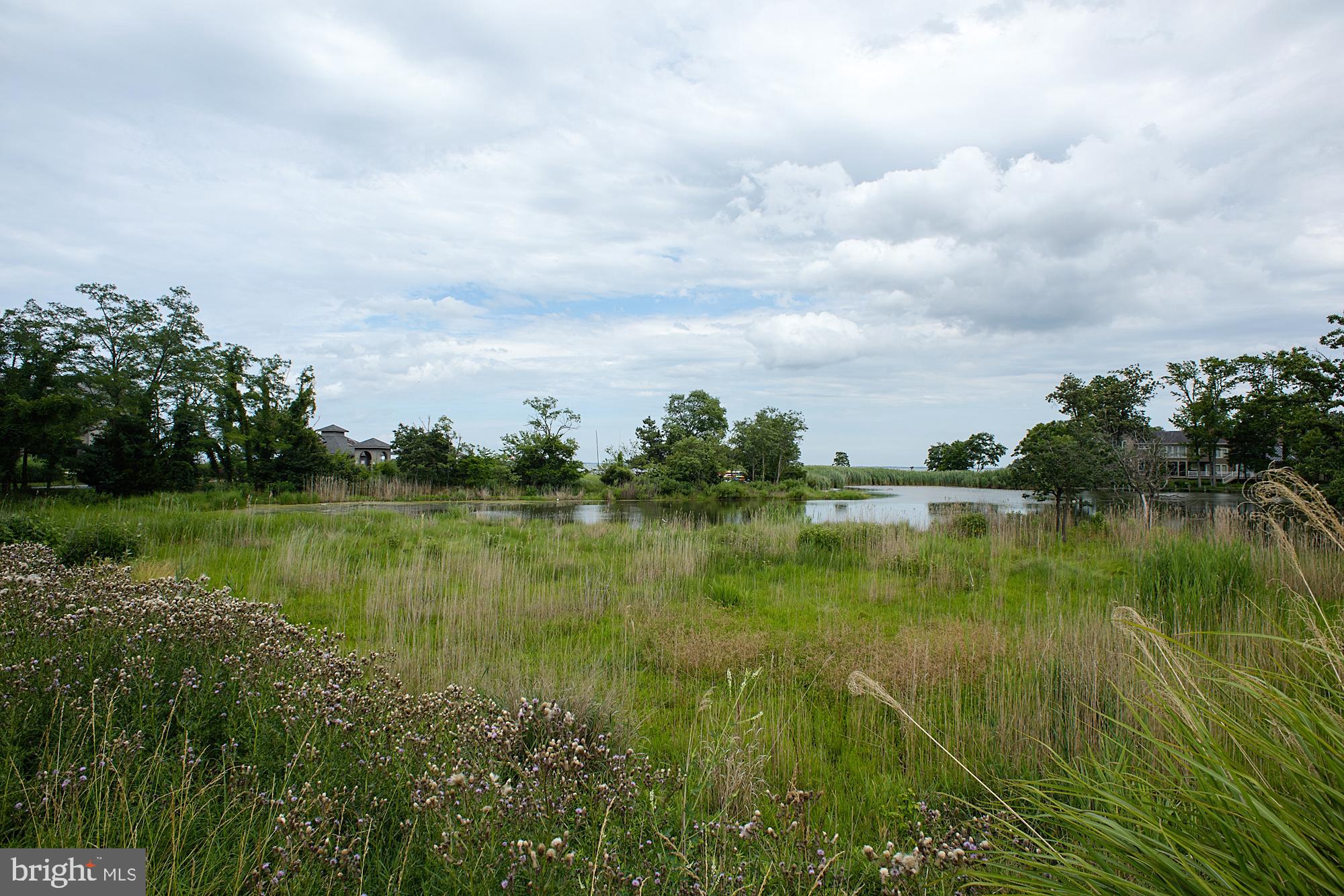 CHESAPEAKE HARBOUR - Residential Lease