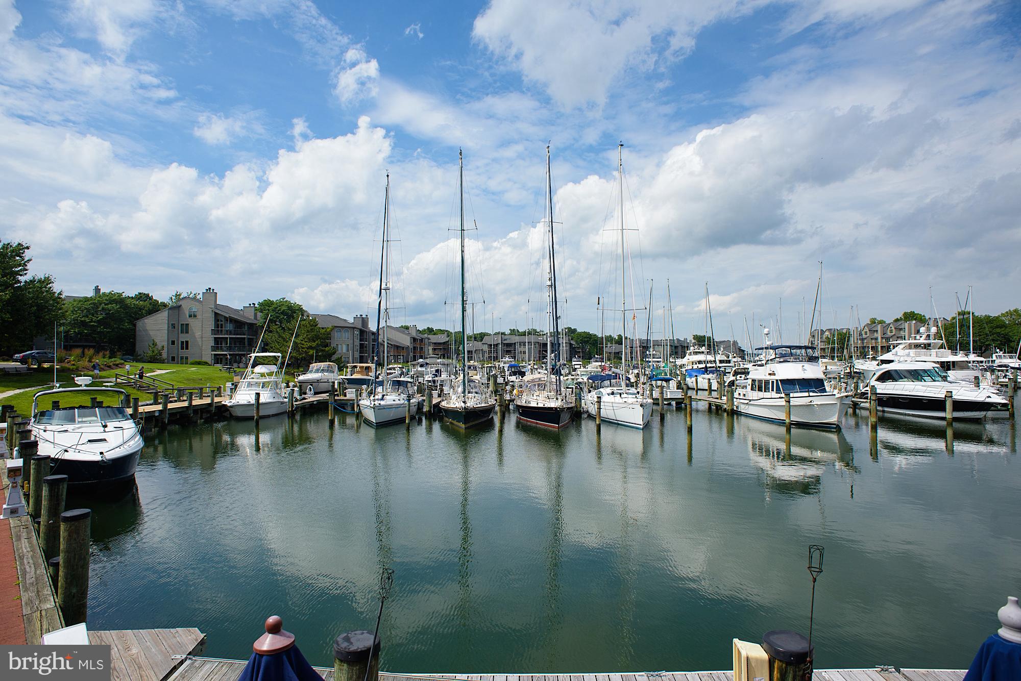 CHESAPEAKE HARBOUR - Residential Lease