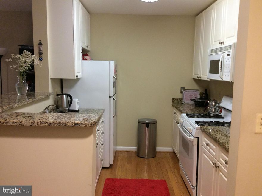 Well kept condo with garage space and storage unit included in rent.  Available furnished or unfurnished. Convenient to shopping and public transportation.CLOSE TO EVERYTHING!  HARDWOOD FLOORS IN FOYER, KITCHEN, BEDROOM. CERAMIC IN BATH.  GAS FIREPLACE, WALK-IN CLOSET, WASHER/DRYER IN UNIT. POOL & FITNESS CTR. NEAR 395 & RT 7.